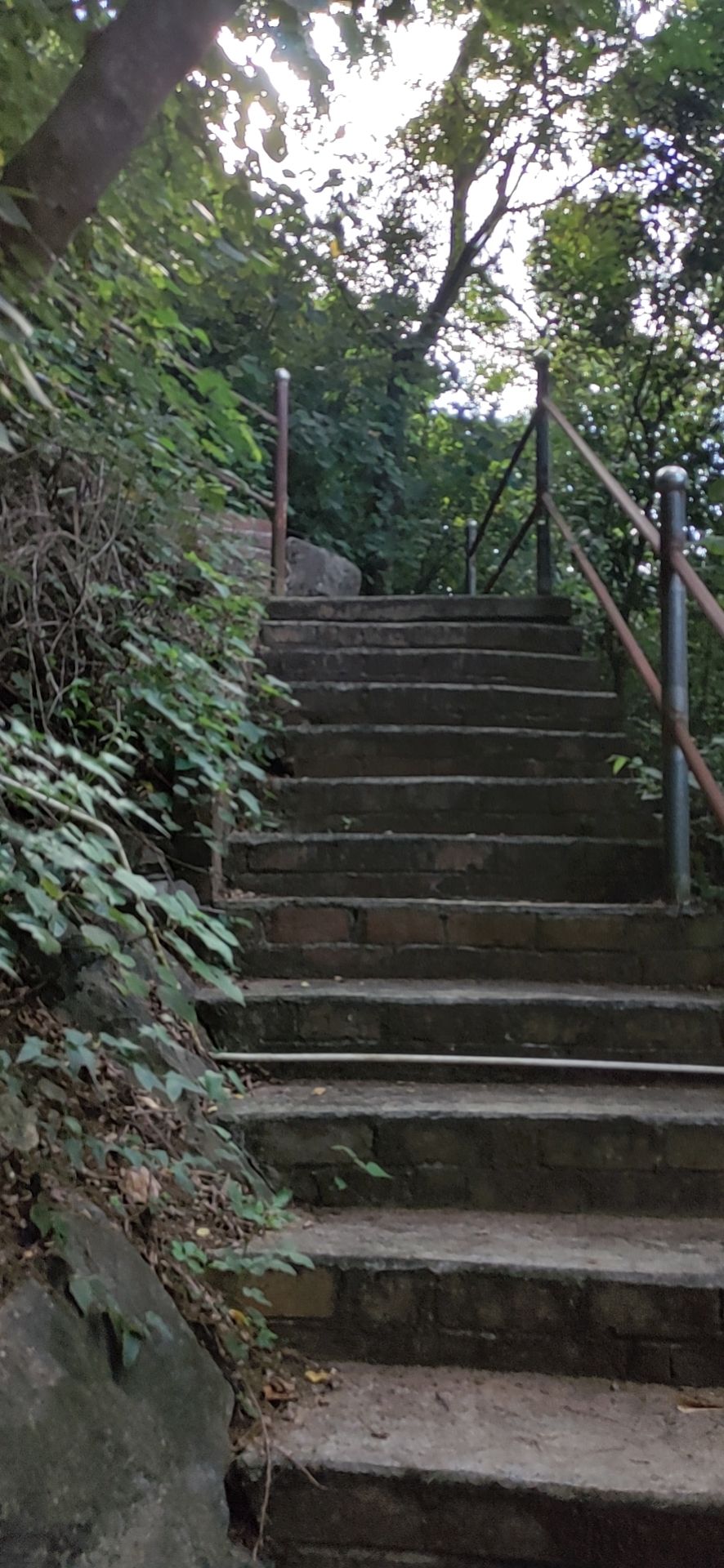 独秀山旅行图片 1