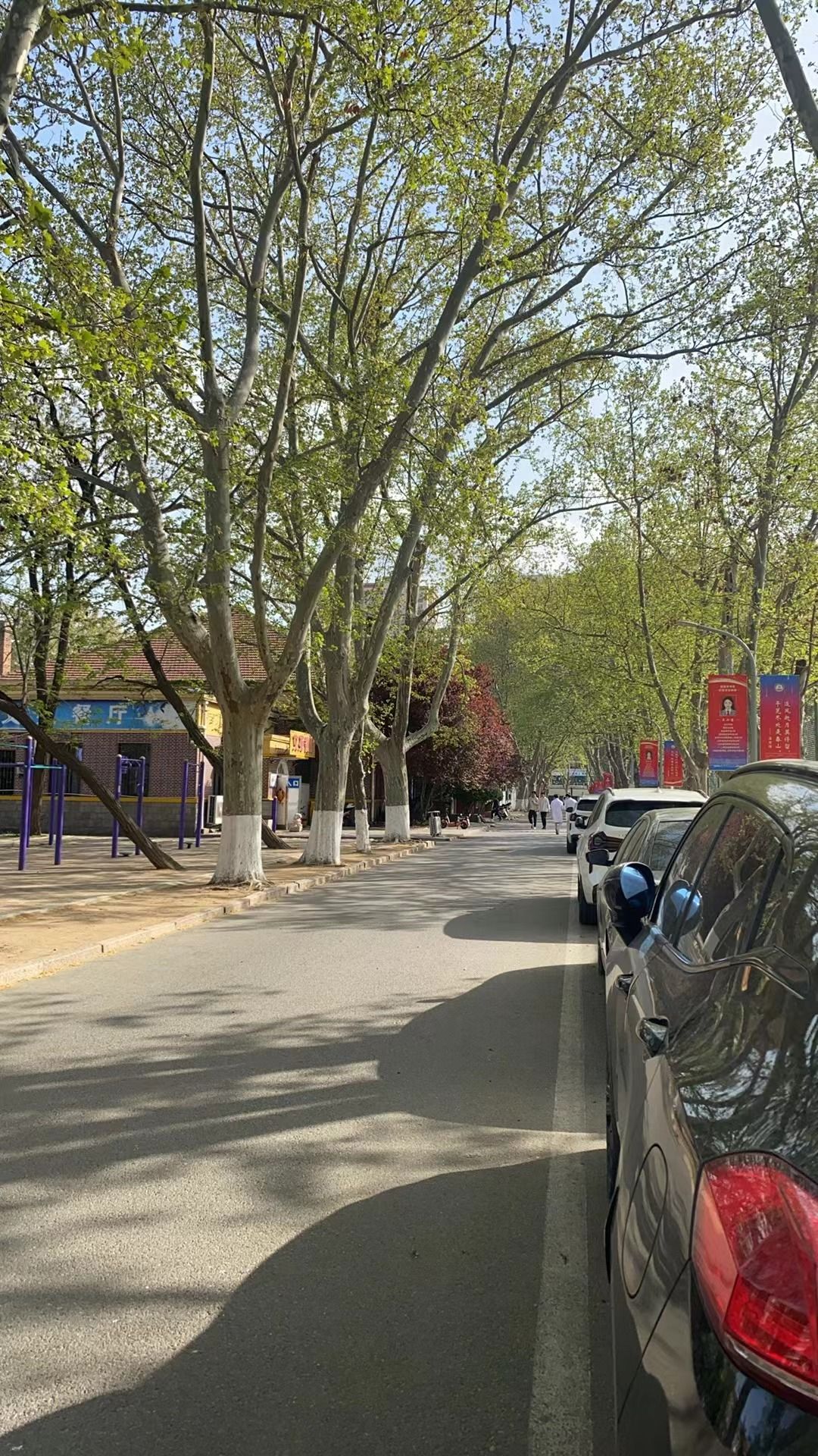 青岛科技大学(四方校区)-小五四广场旅行图片 3