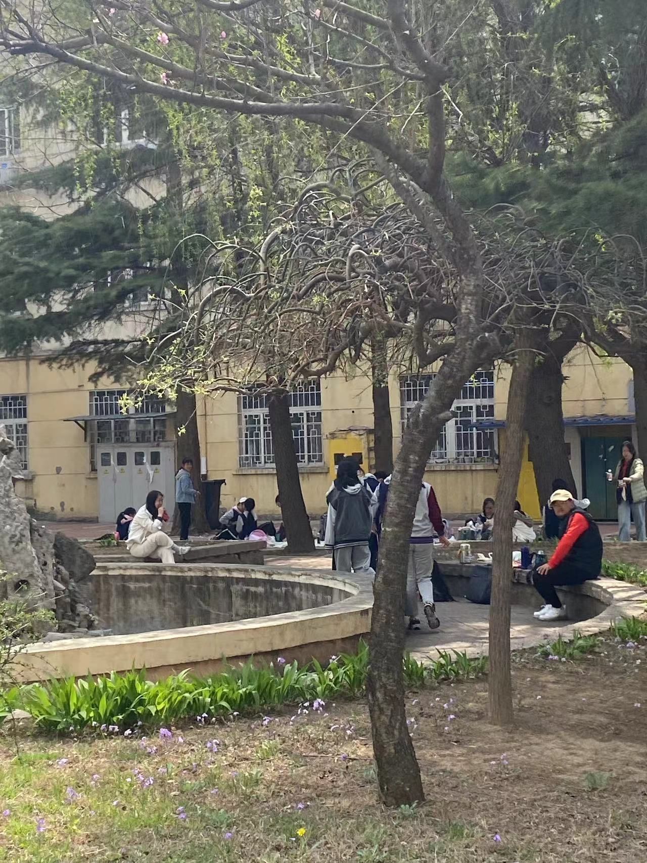 青岛科技大学(四方校区)-小五四广场旅行图片 2