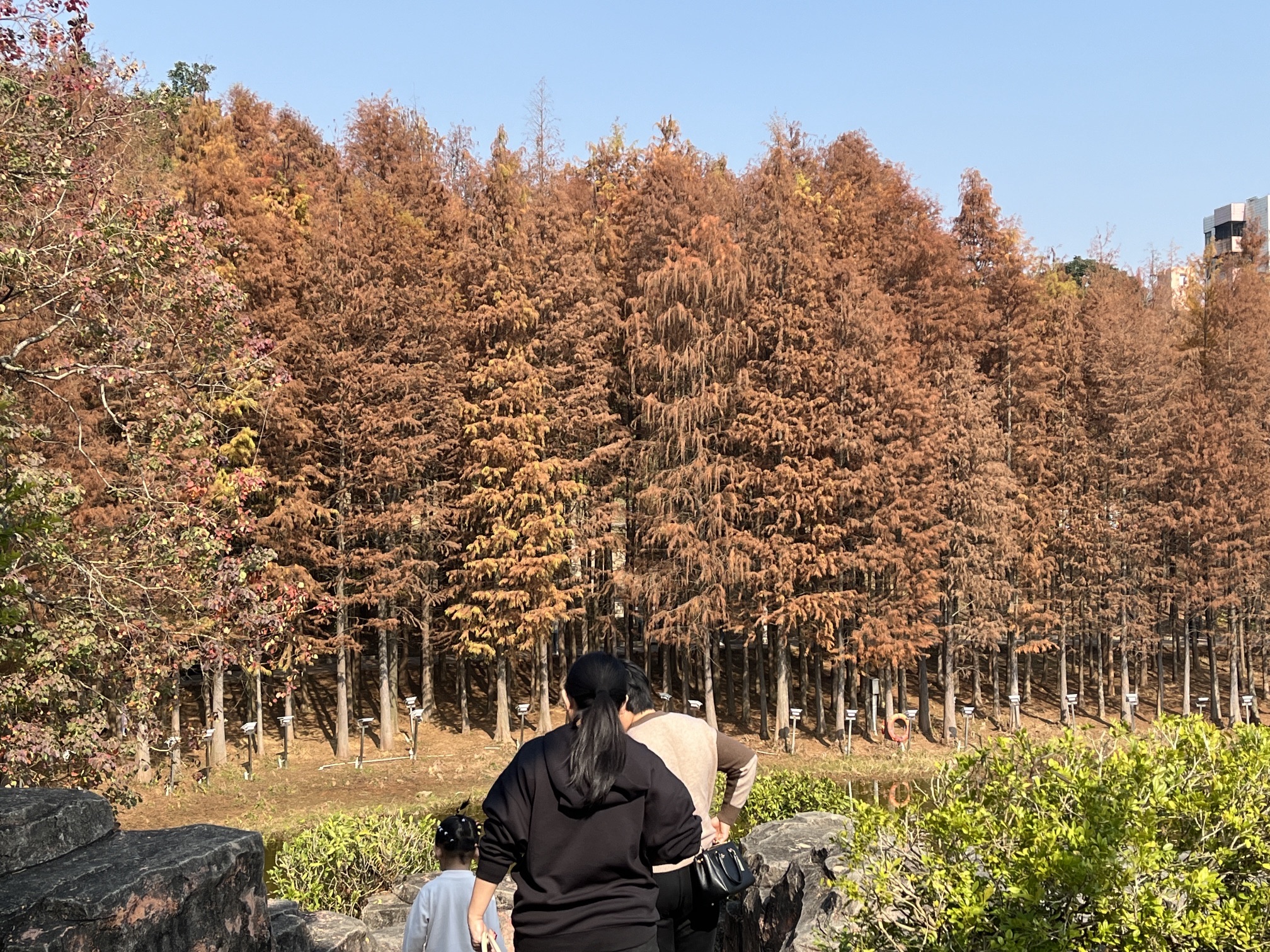 119消防主题公园旅行图片 2