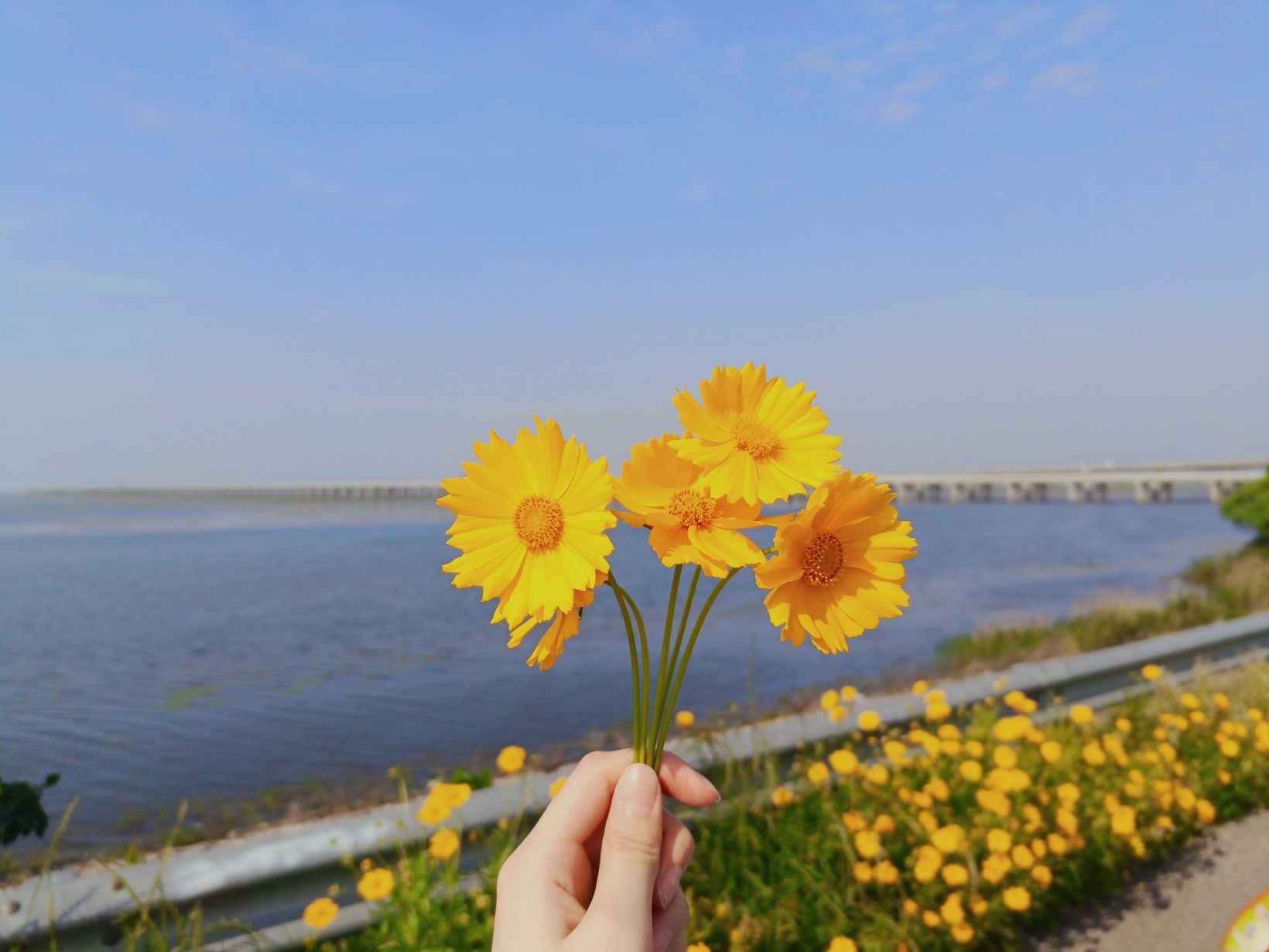 石臼湖旅行图片 2