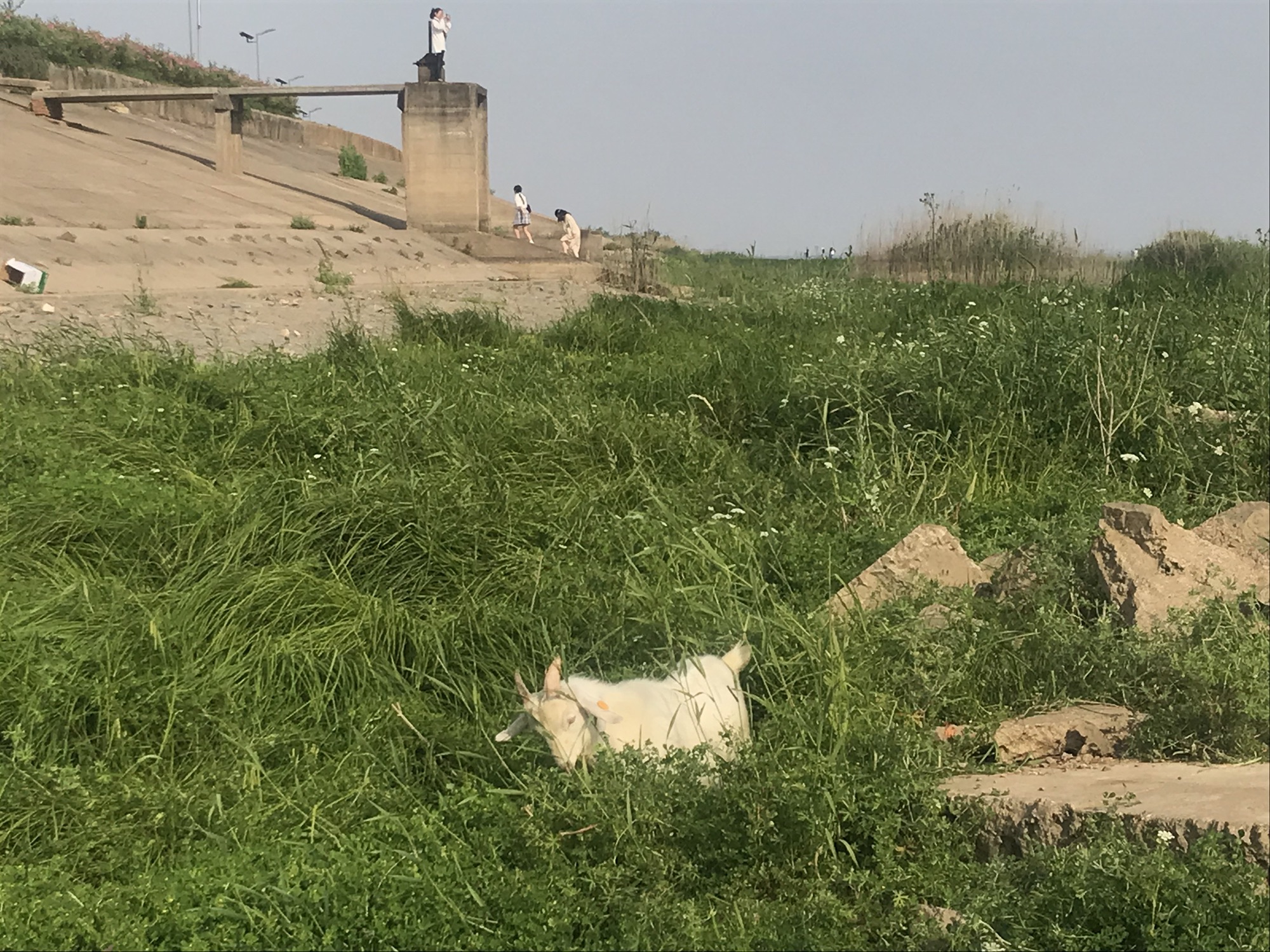 石臼湖旅行图片 1