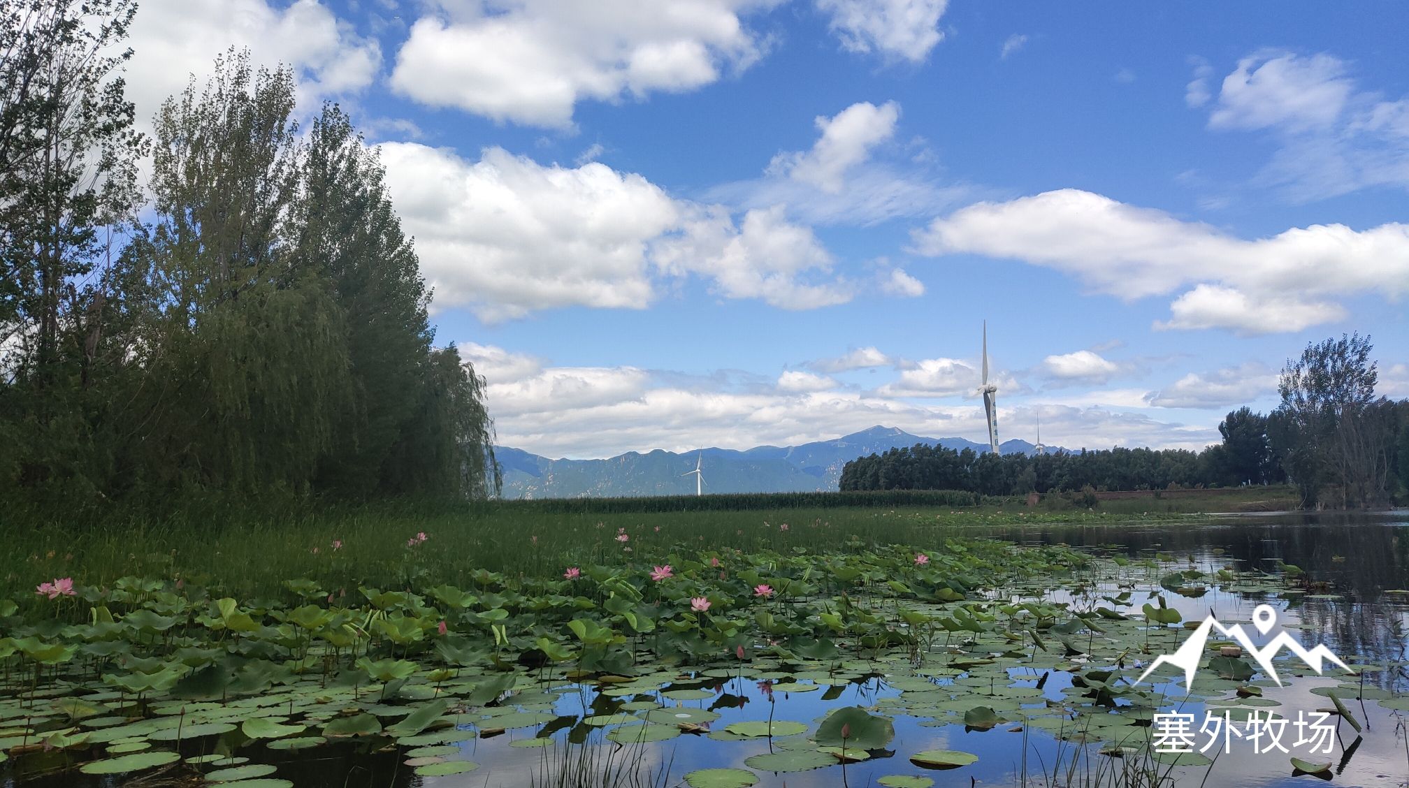京西草原旅行图片 3