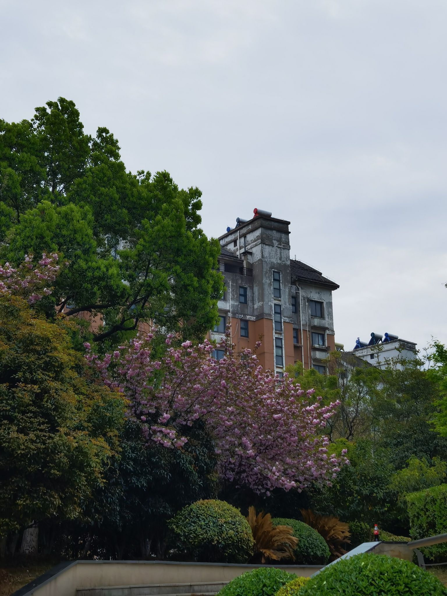 小牛头山公园旅行图片 3