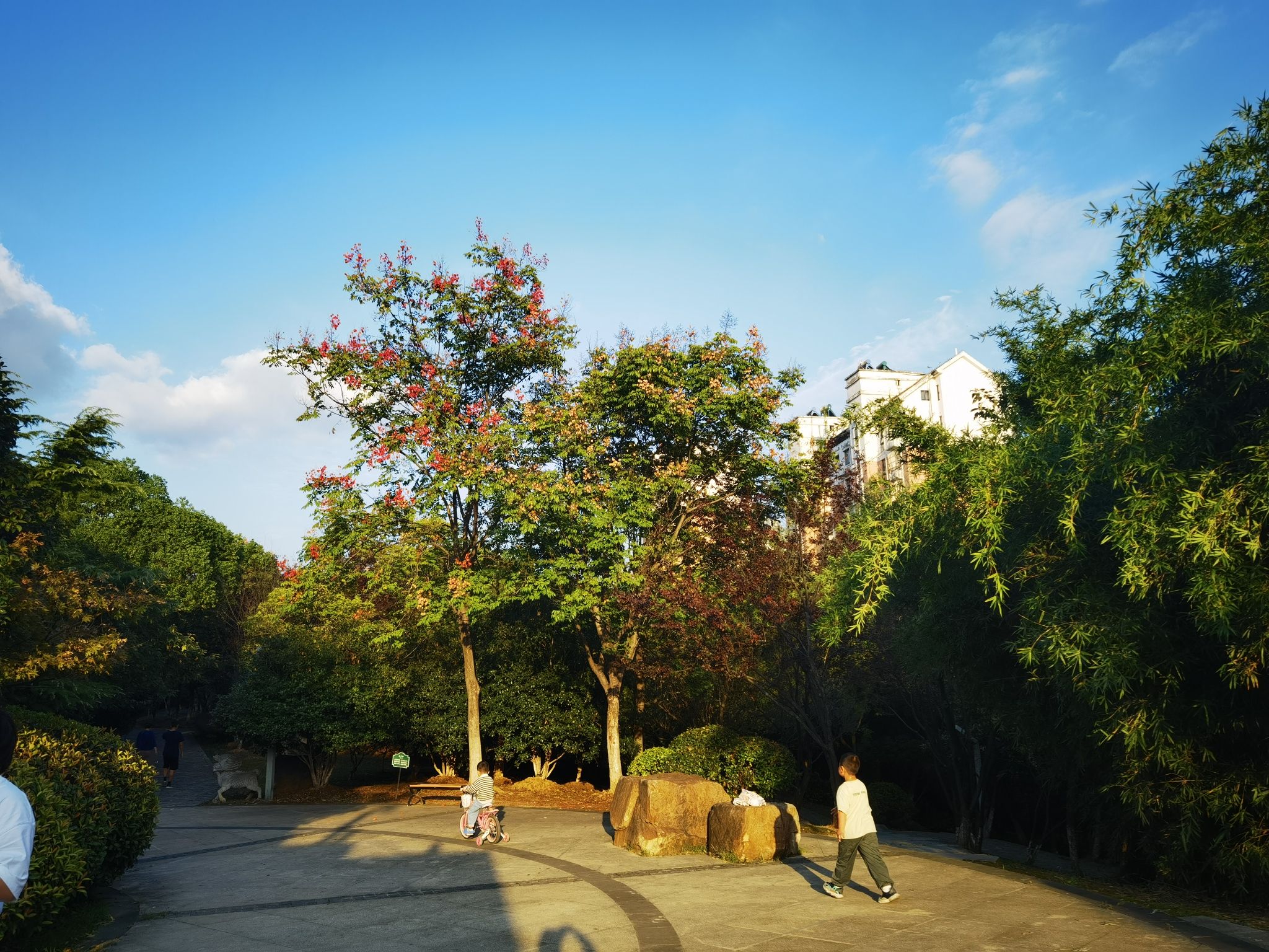 小牛头山公园旅行图片 2