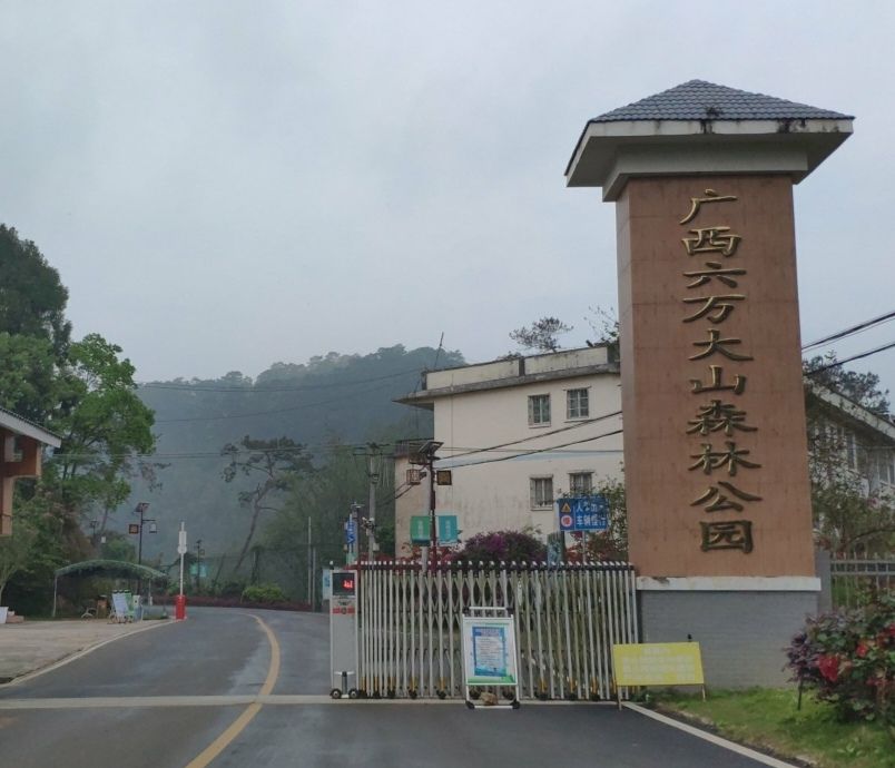 广西六万大山森林公园旅行图片 1