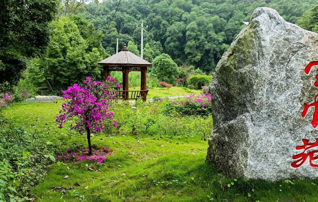 广西六万大山森林公园旅行图片 2