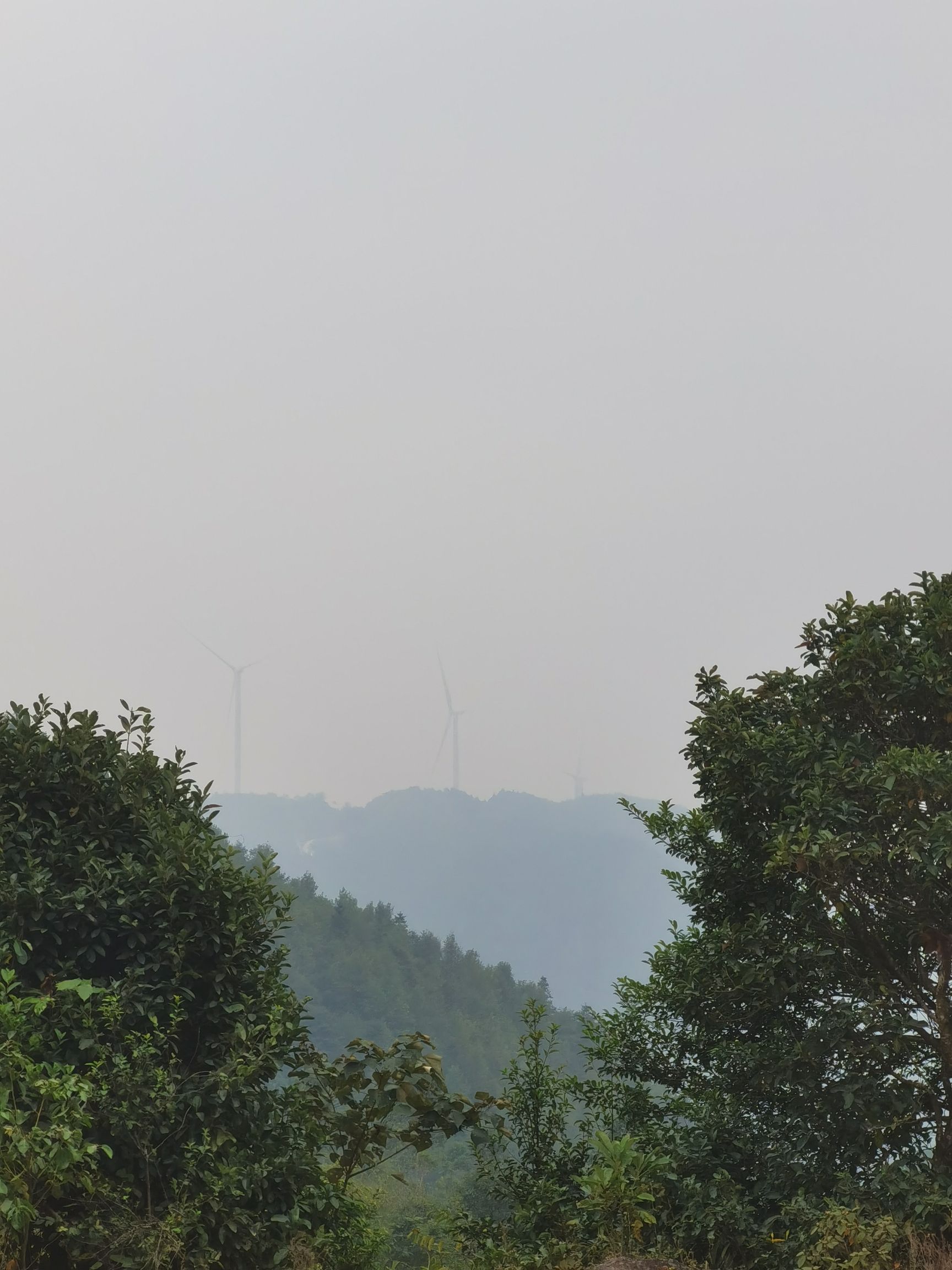 广西六万大山森林公园旅行图片 3