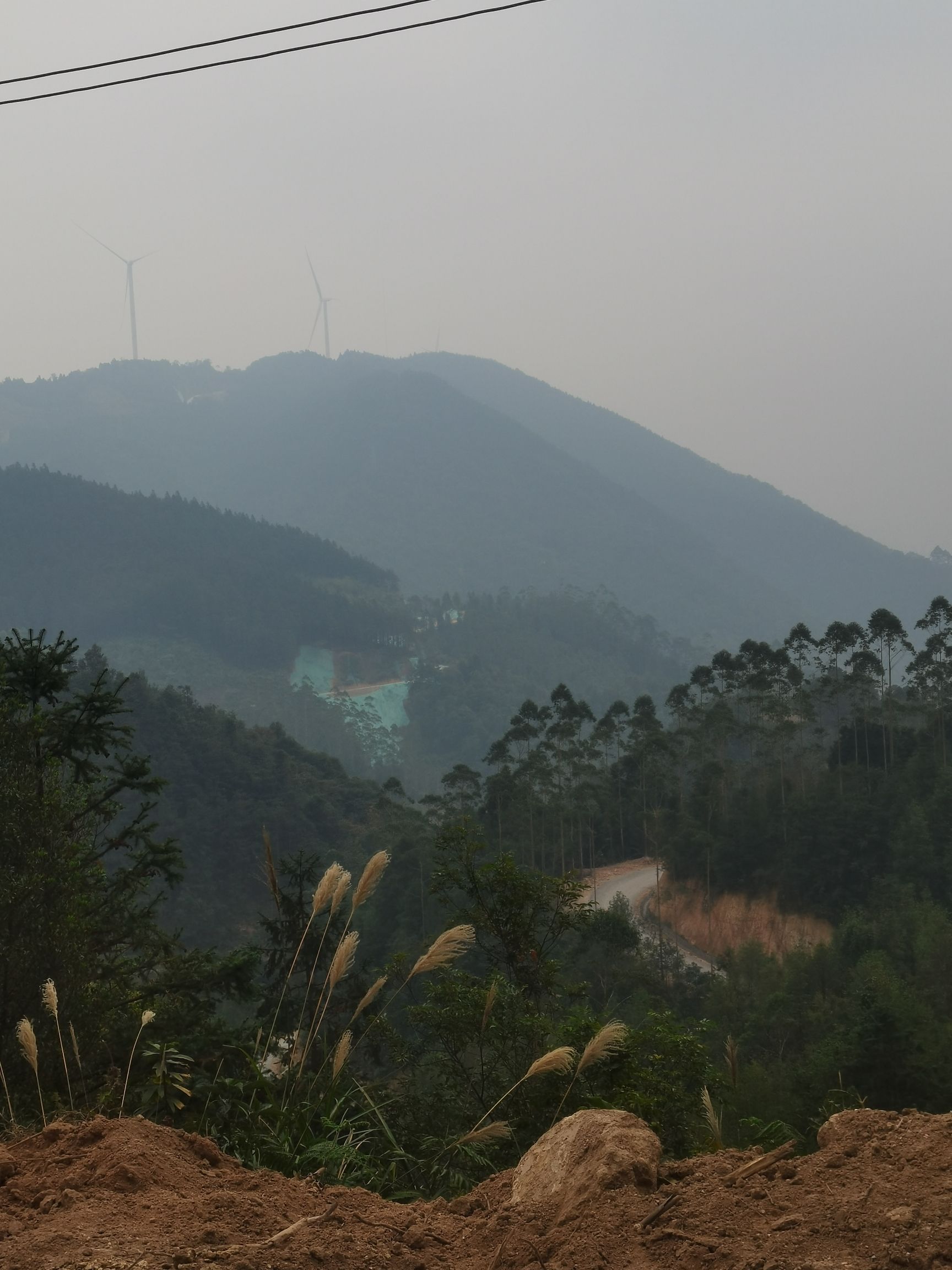 广西六万大山森林公园旅行图片 2