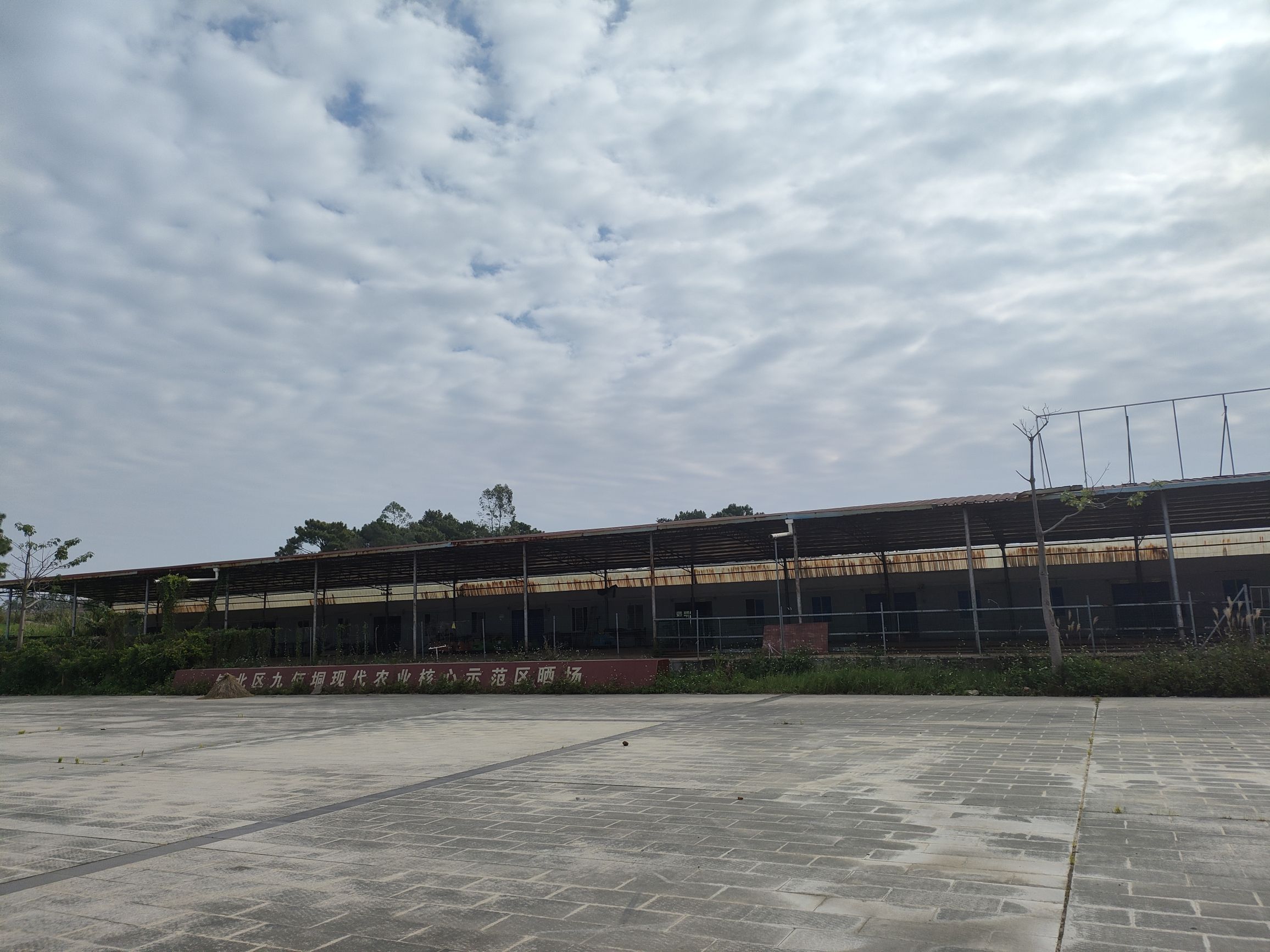 九佰垌农业公园旅行图片 1