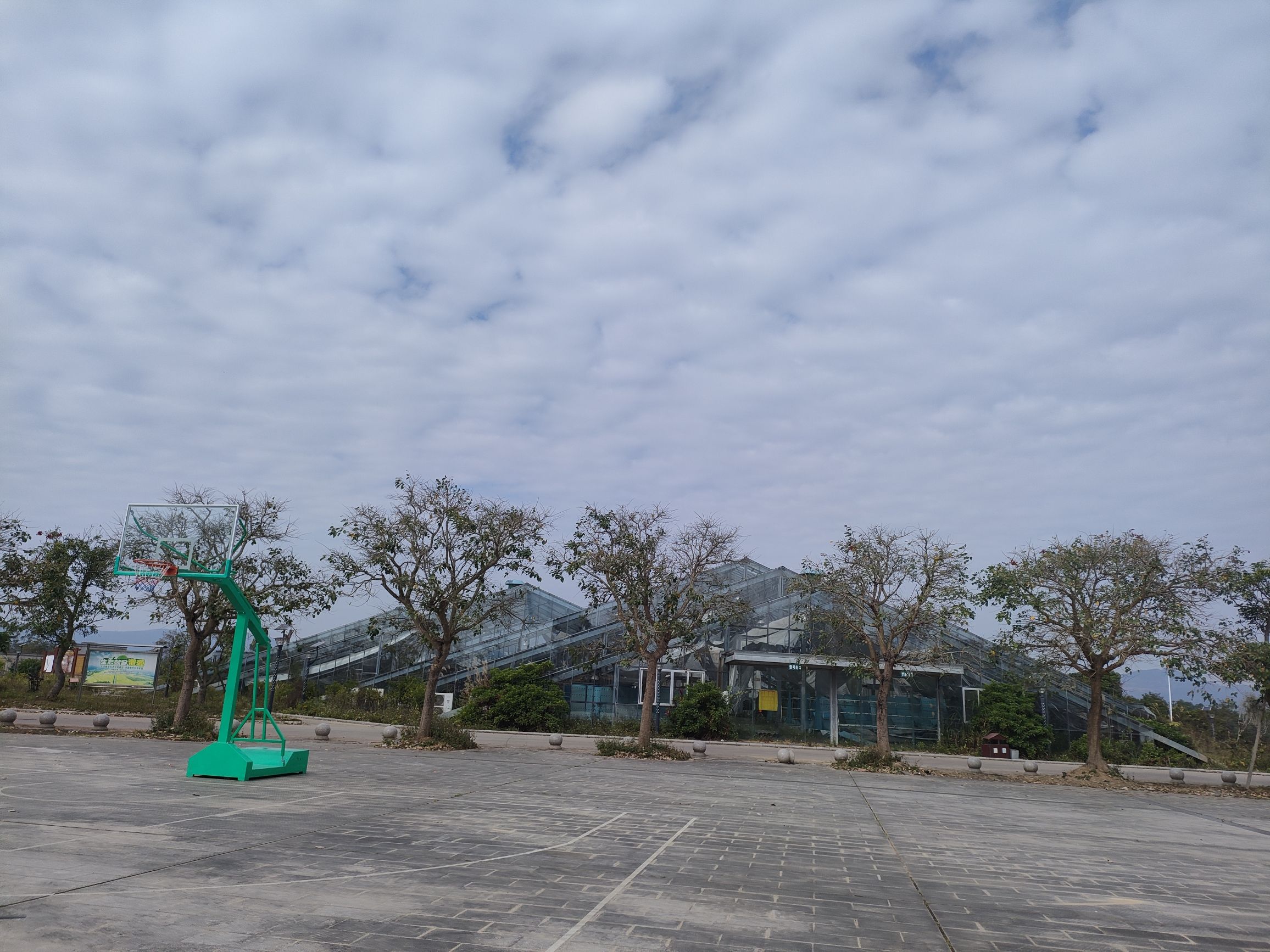 九佰垌农业公园旅行图片 2