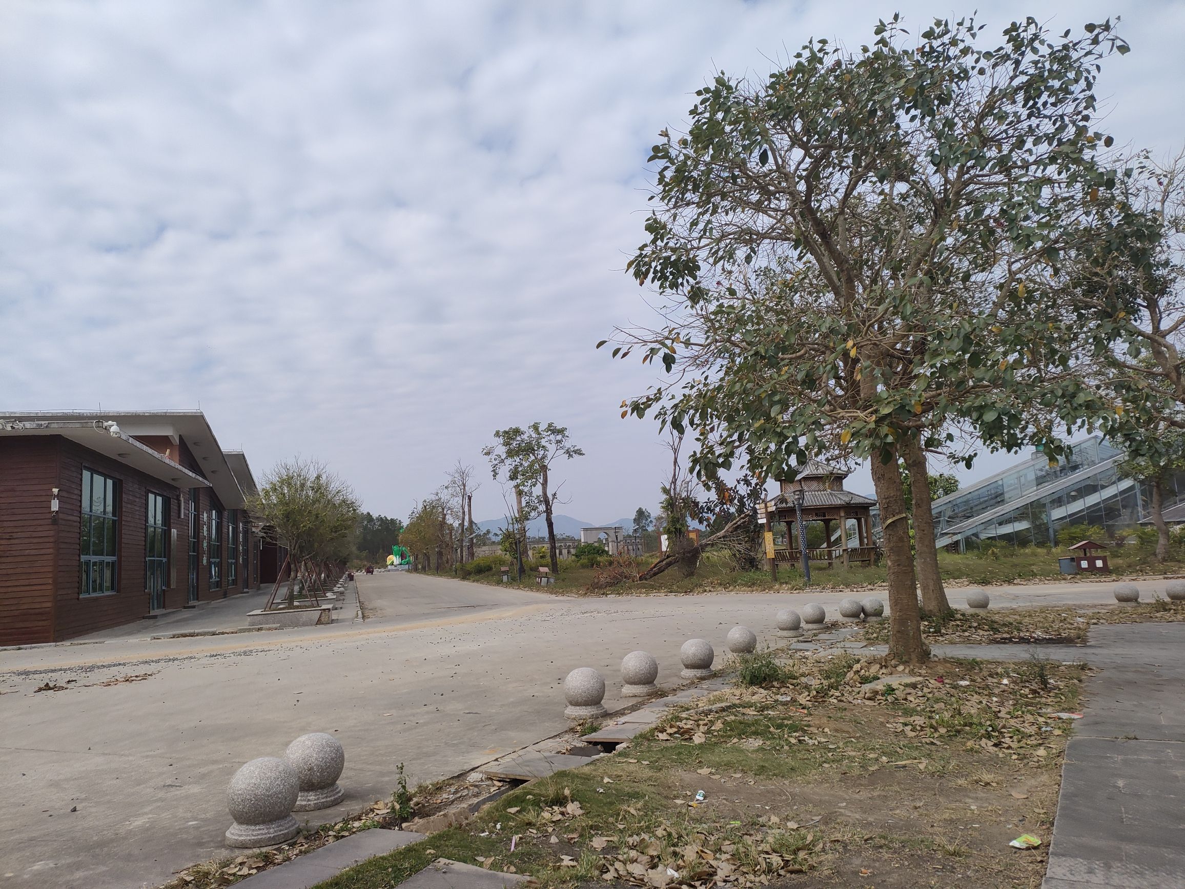 九佰垌农业公园旅行图片 3