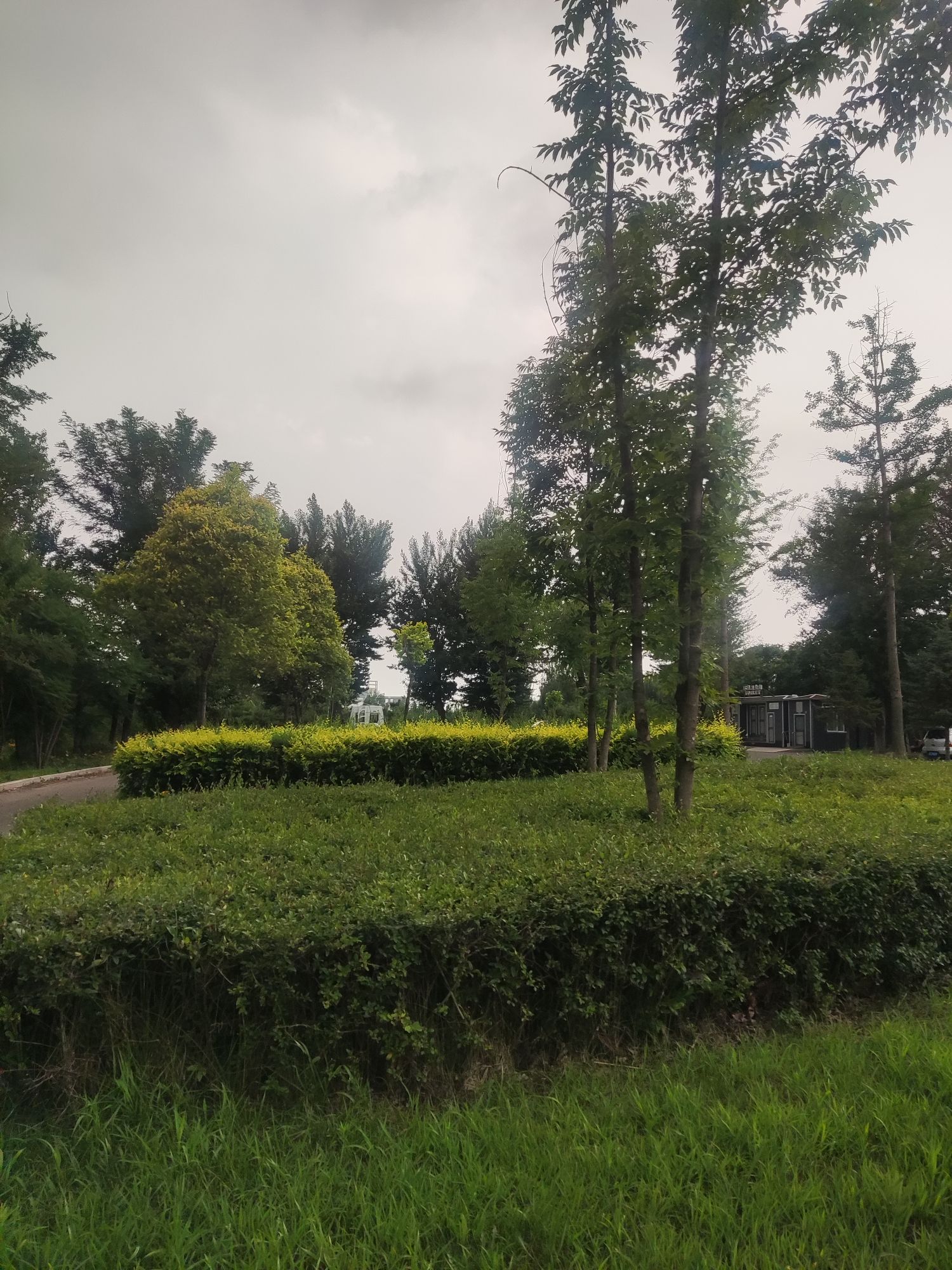 揽圣湖公园旅行图片 2