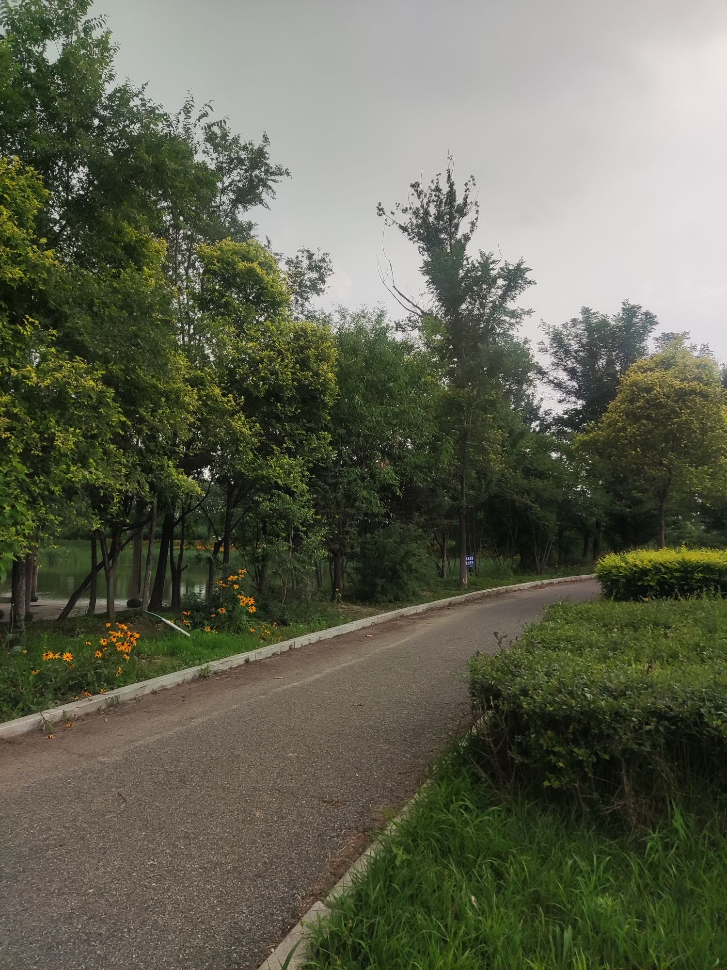 揽圣湖公园旅行图片 1