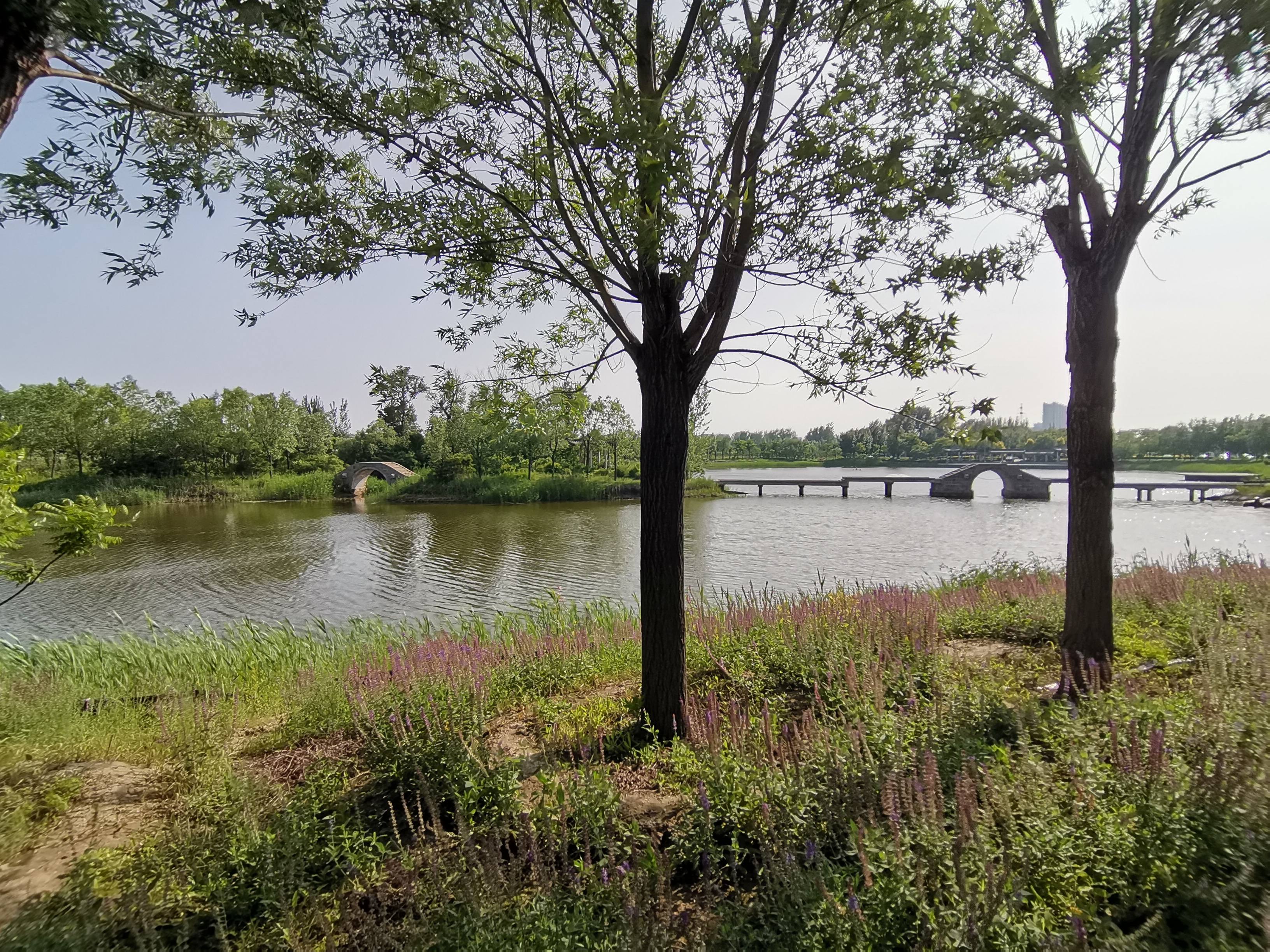 揽圣湖公园旅行图片 2