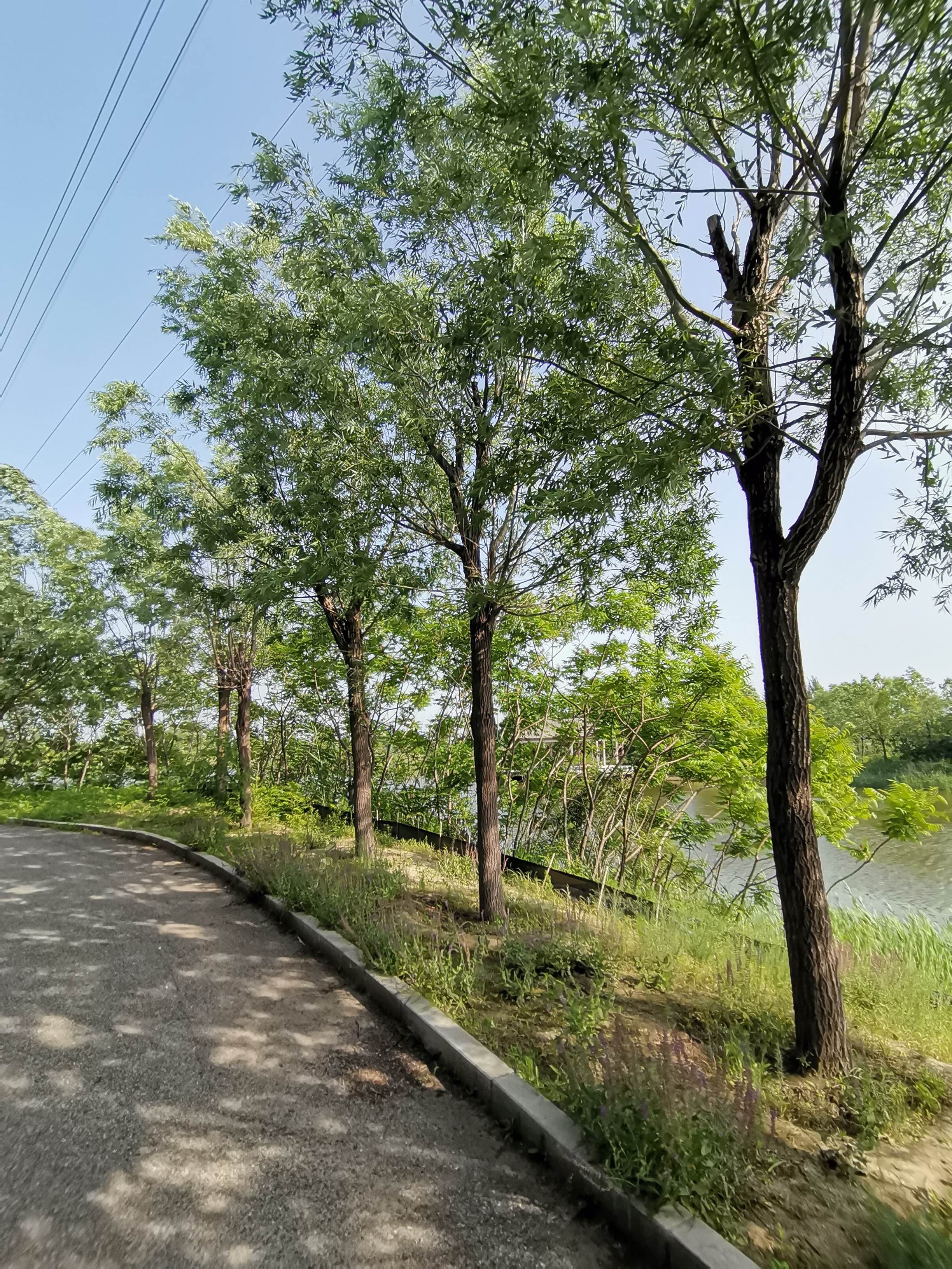 揽圣湖公园旅行图片 1