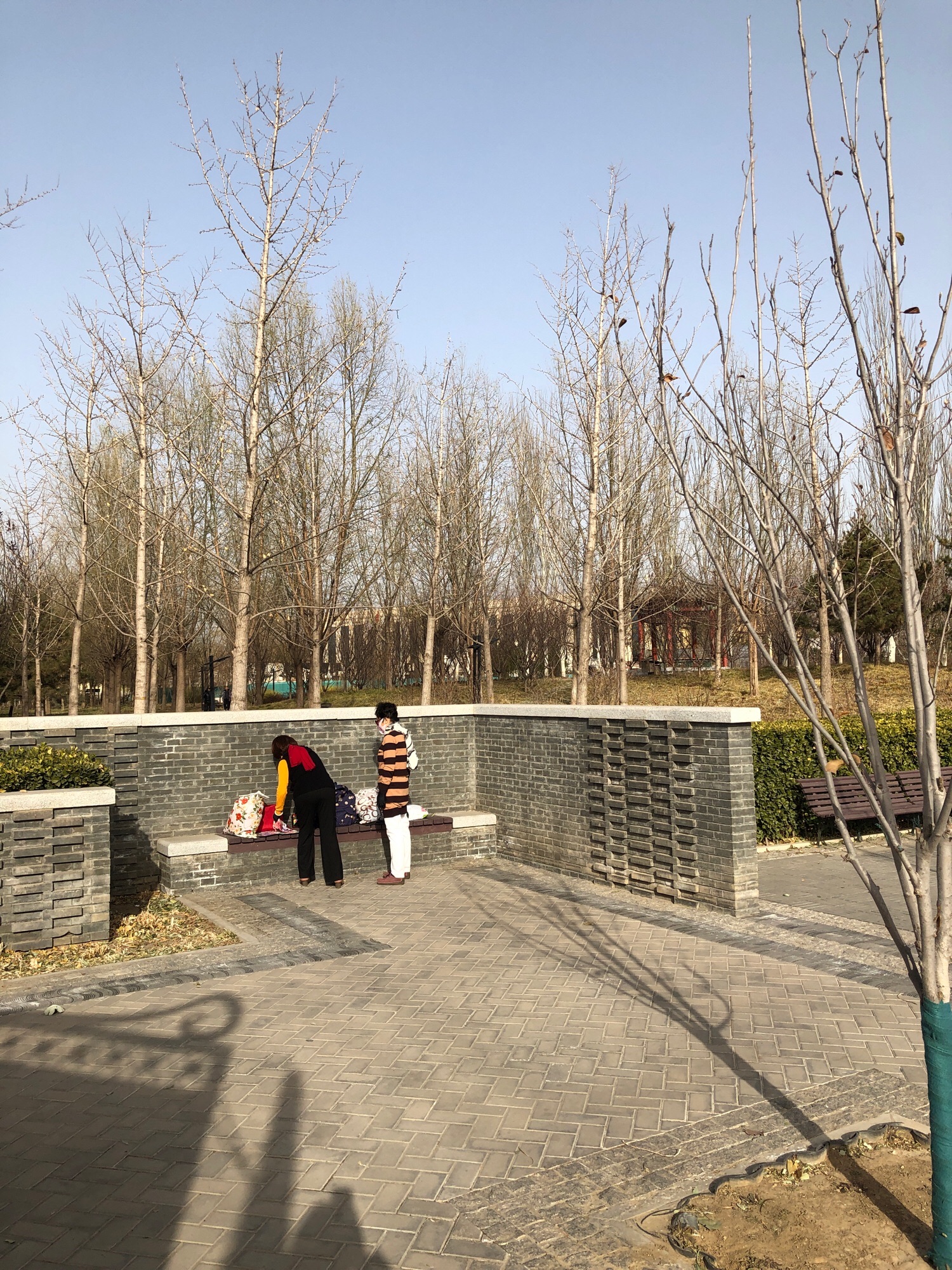 三营门公园旅行图片 2