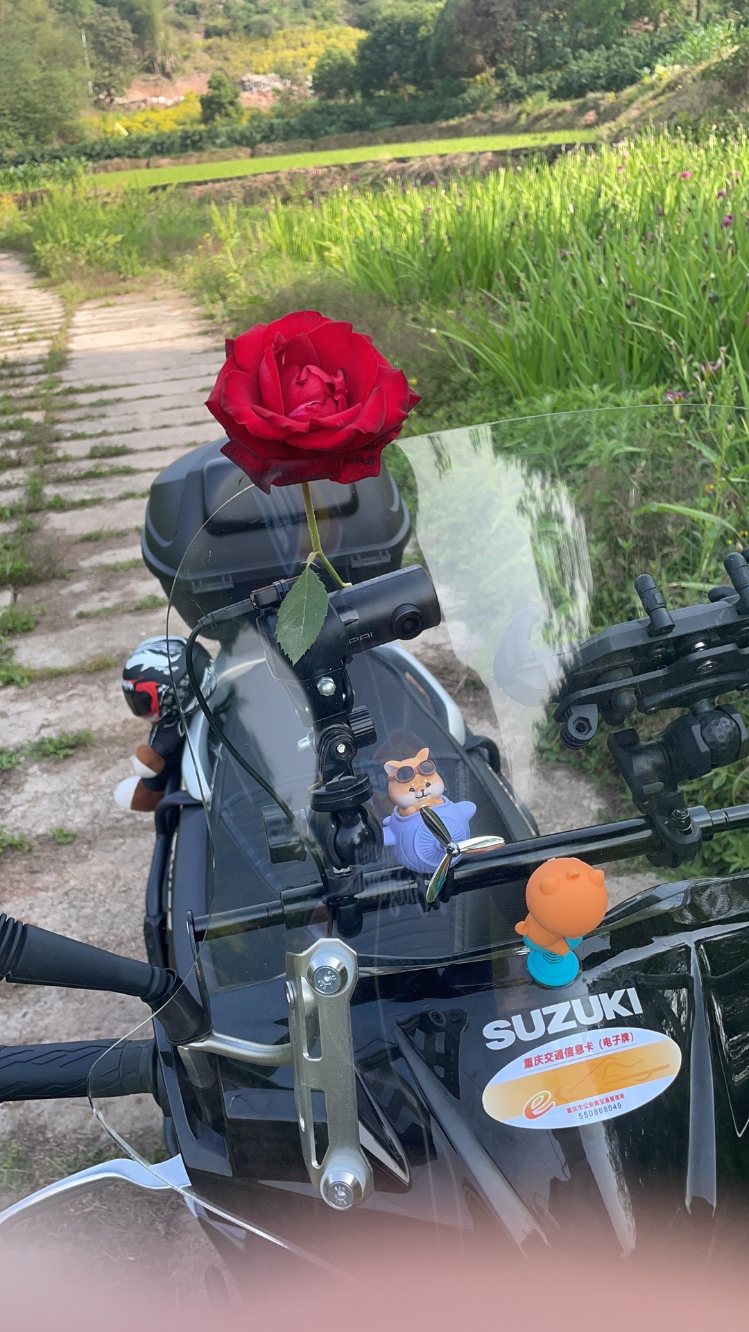 依山美玫瑰园旅行图片 1