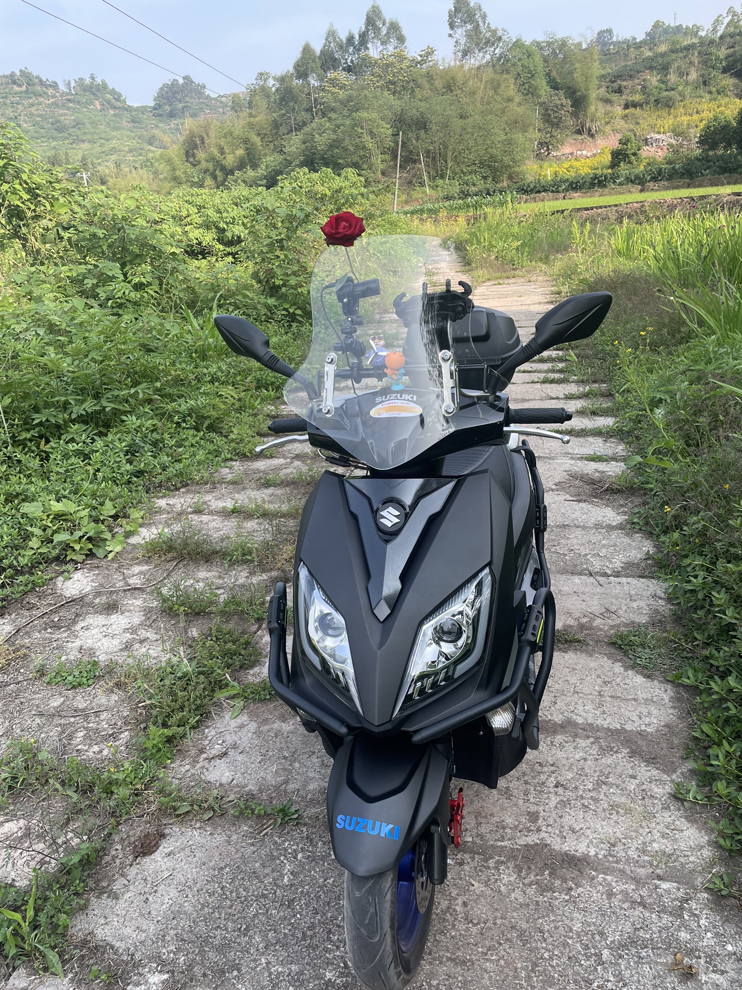 依山美玫瑰园旅行图片 2