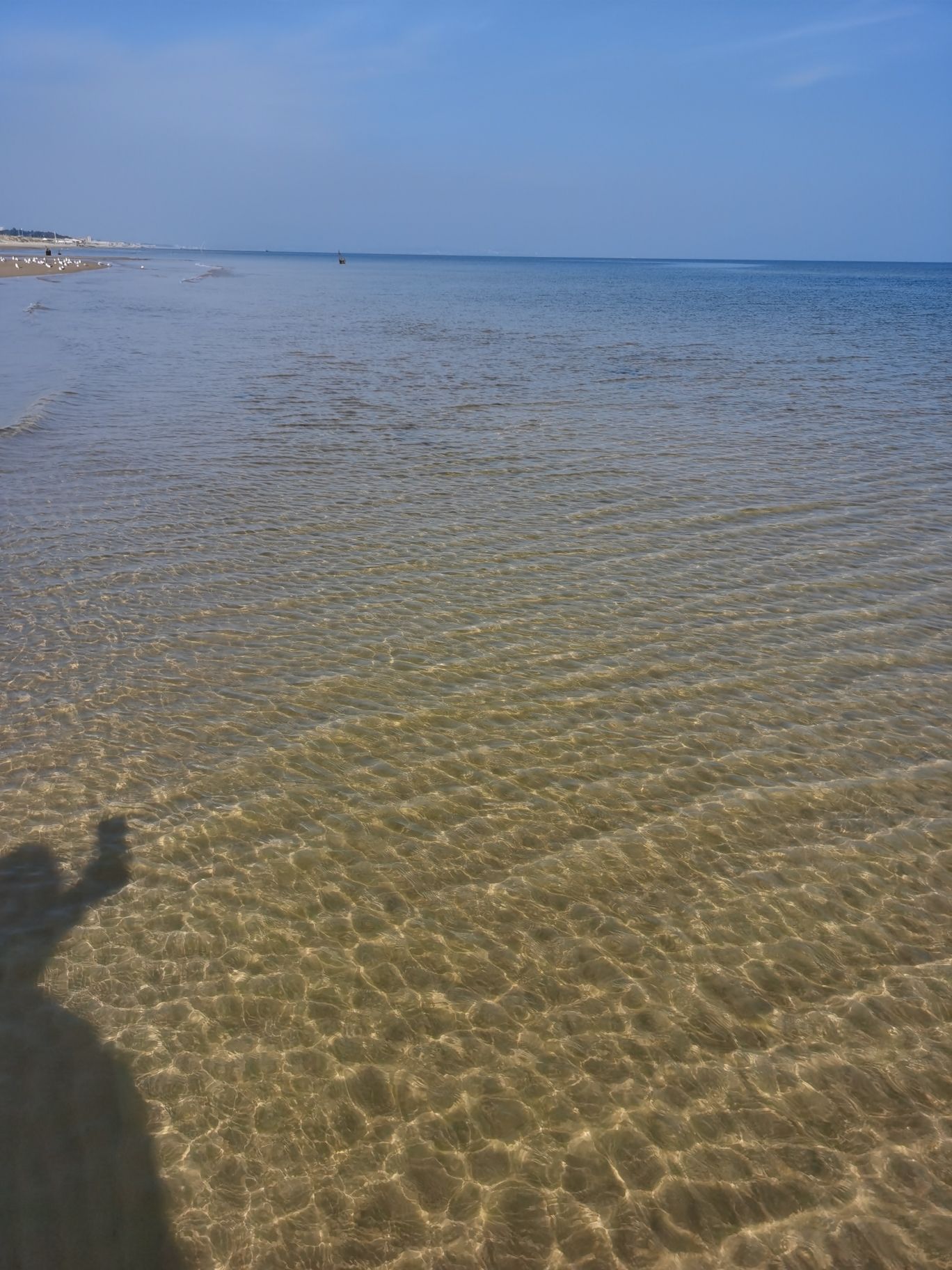 牟平沙滩旅行图片 3