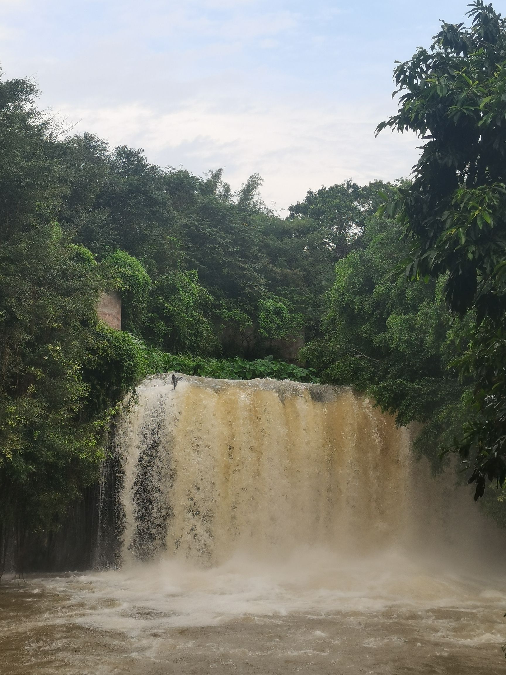 白石溪瀑布旅行图片 1