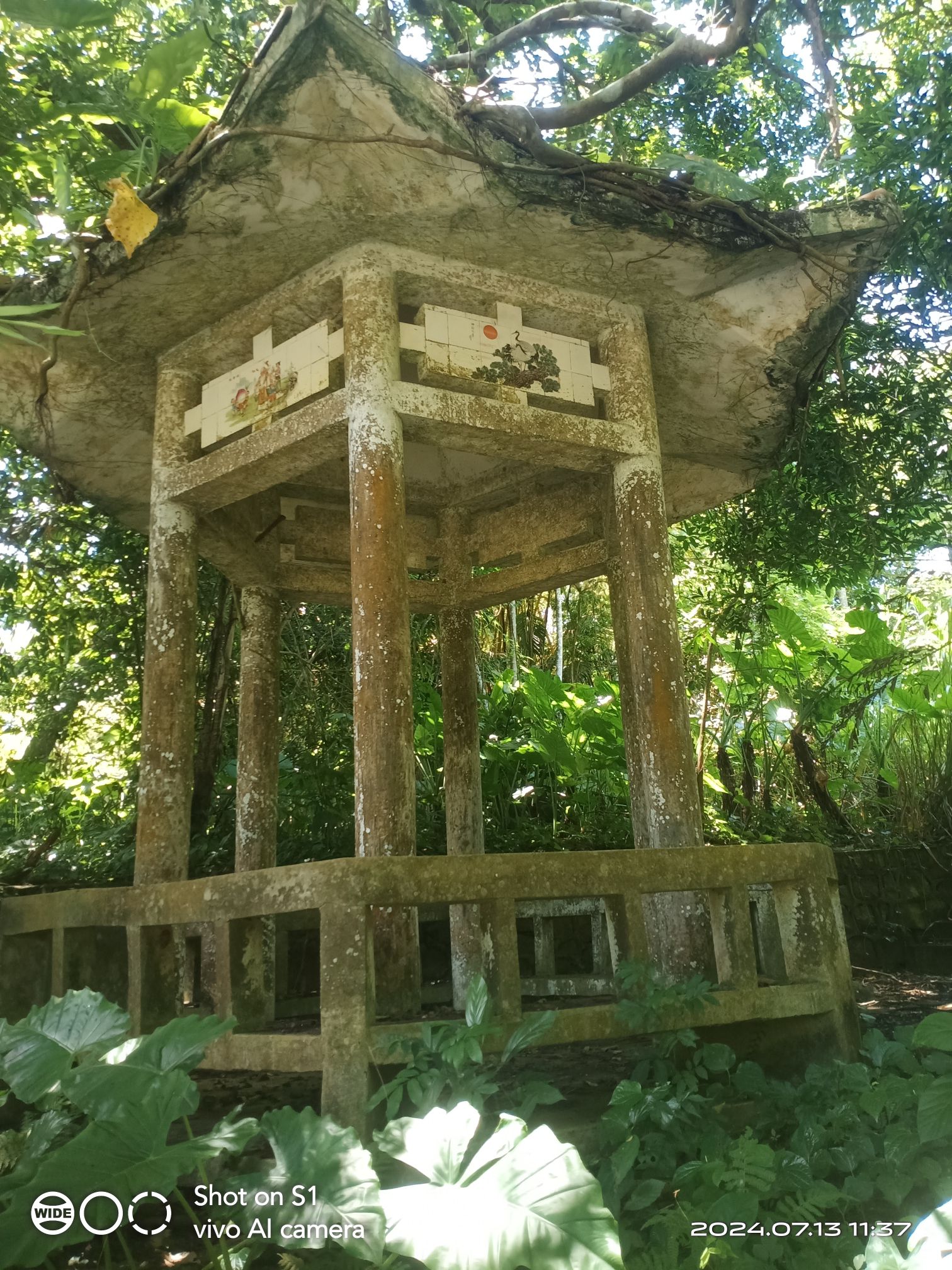 白石溪瀑布旅行图片 2