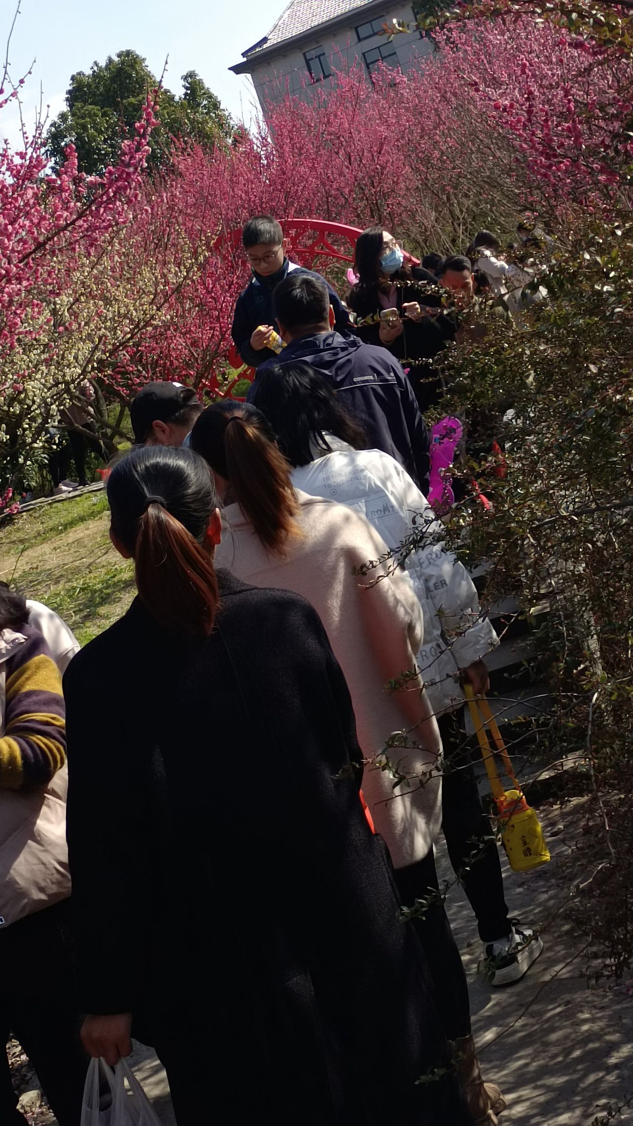 聚宝湾旅行图片 1