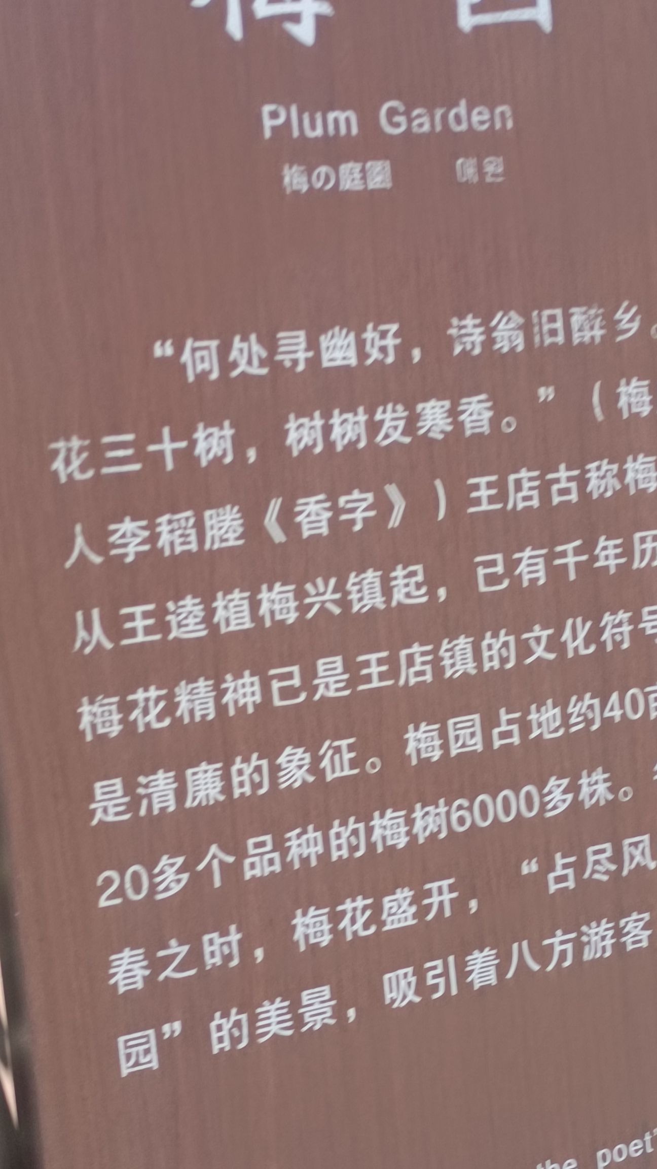 聚宝湾旅行图片 3
