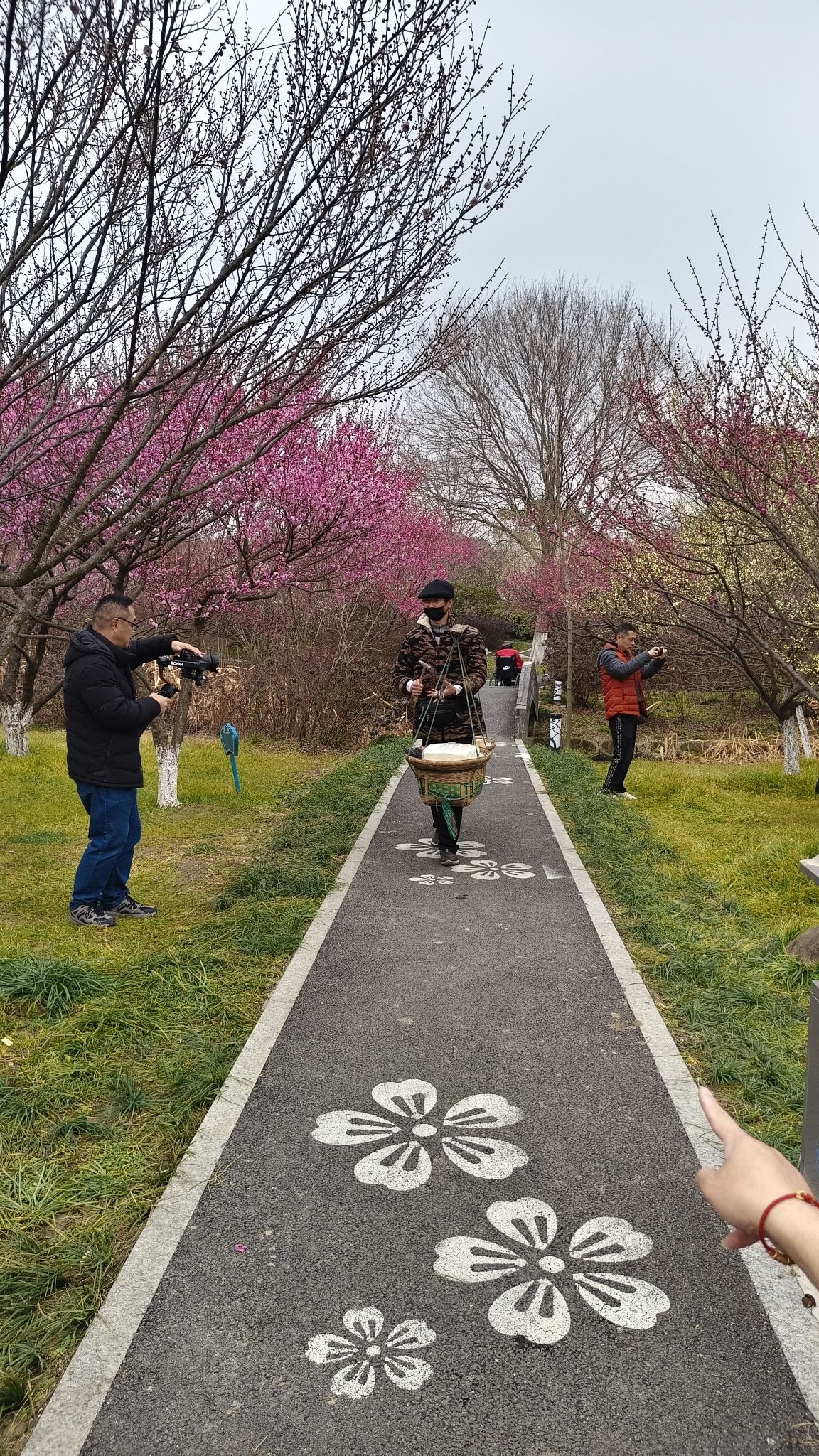 聚宝湾旅行图片 3
