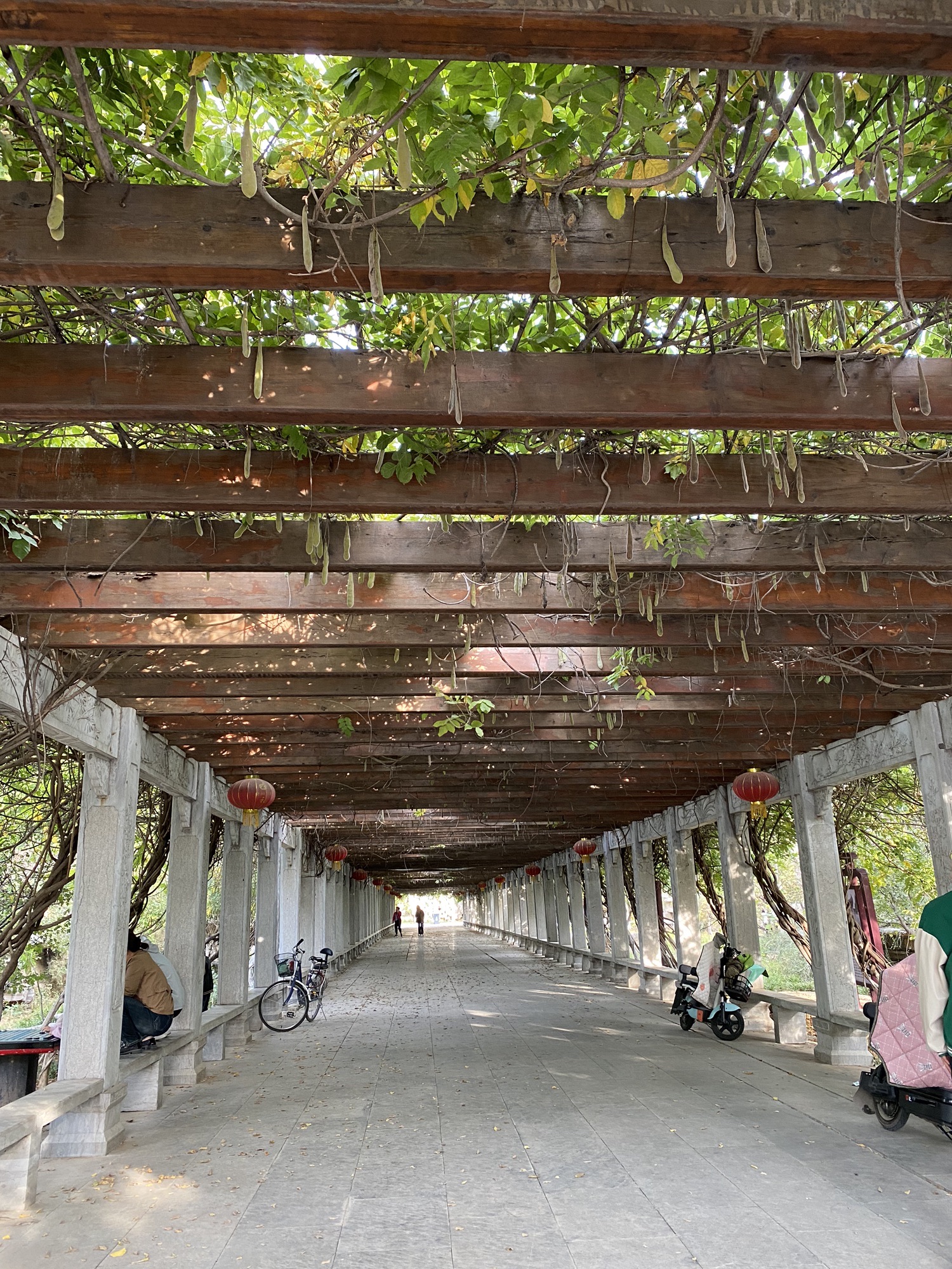 虞山文体公园旅行图片 1