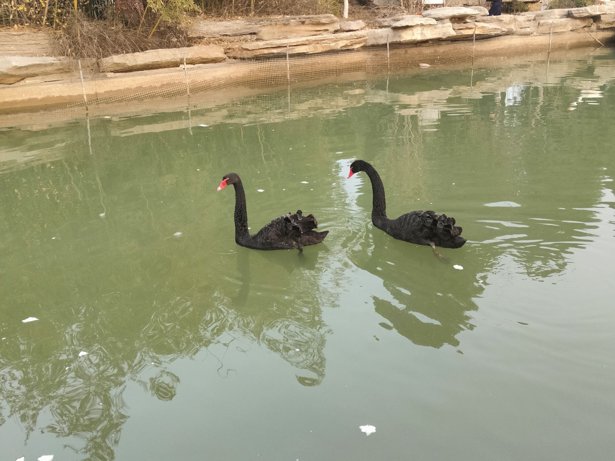 虞山文体公园旅行图片 1
