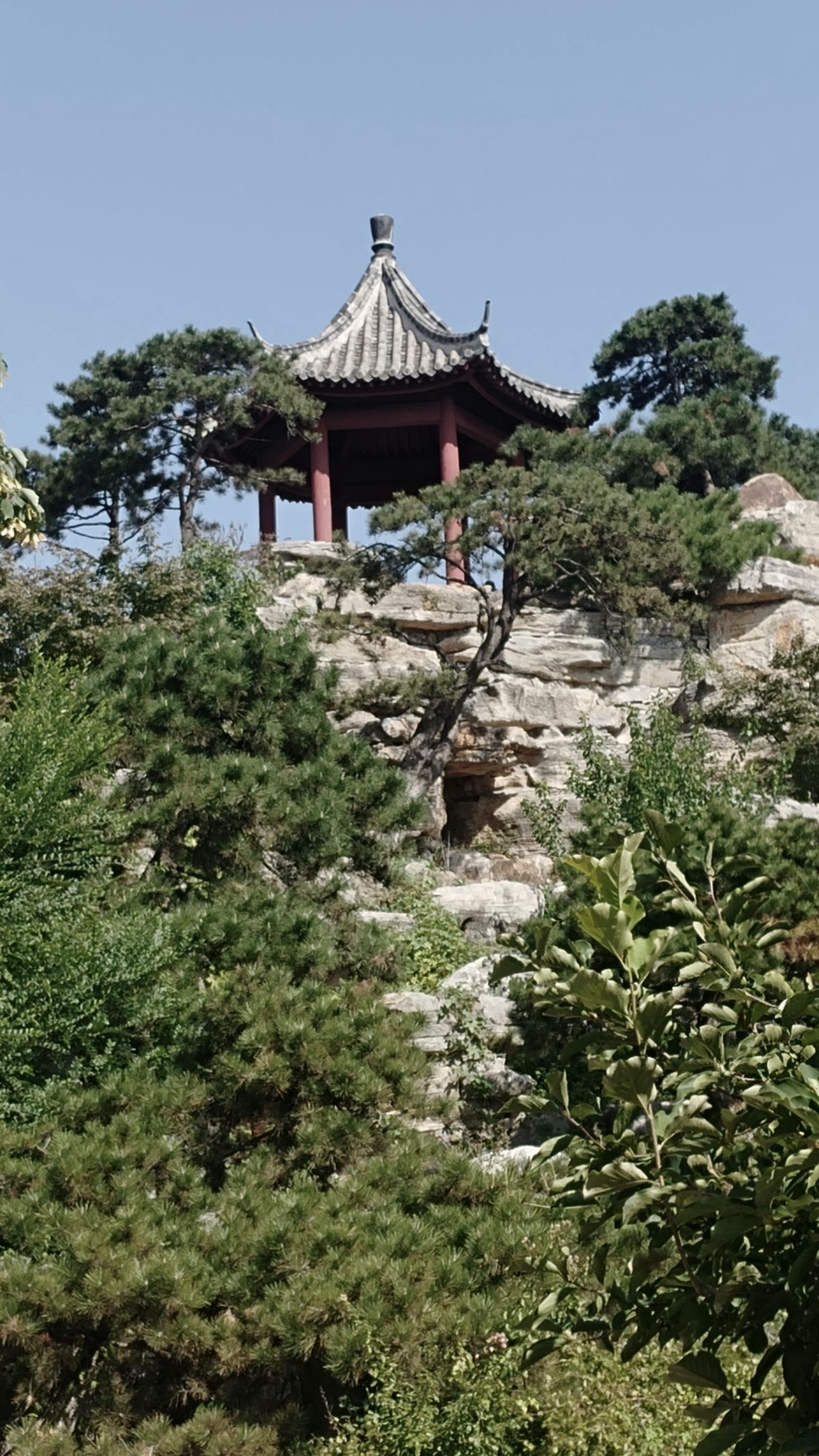 虞山文体公园旅行图片 2