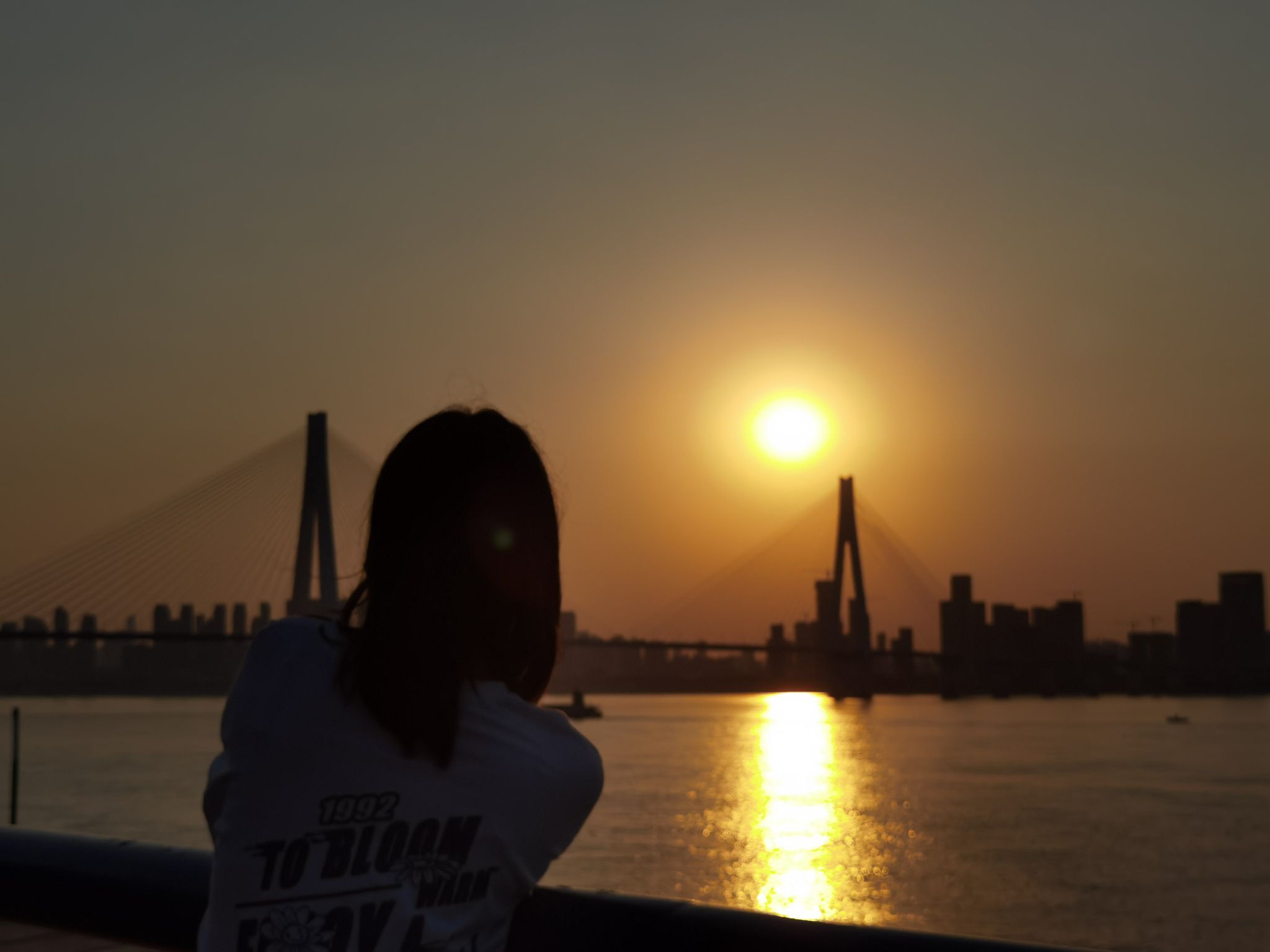 青山江滩公园1期旅行图片 1