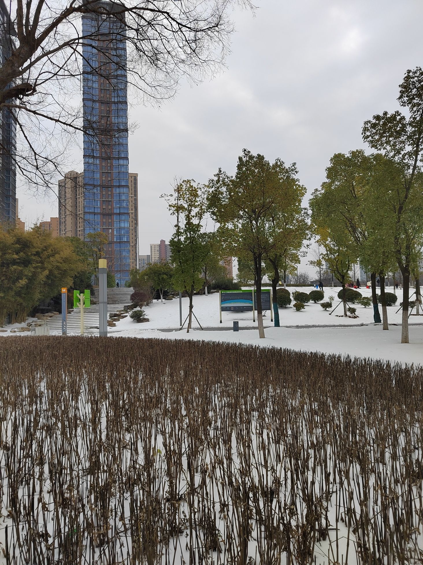 青山江滩公园1期旅行图片 2