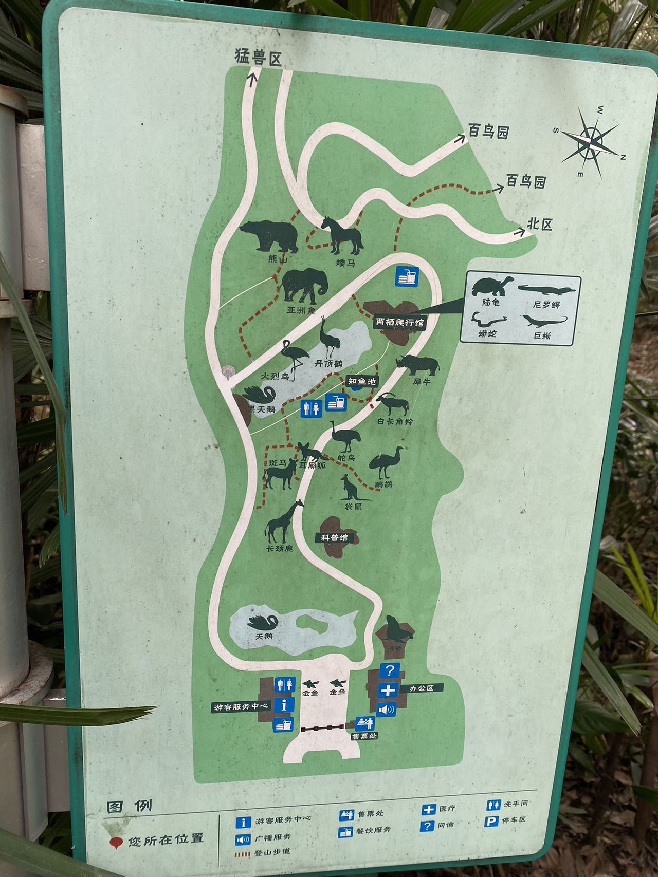 福州动物园-海狮表演馆