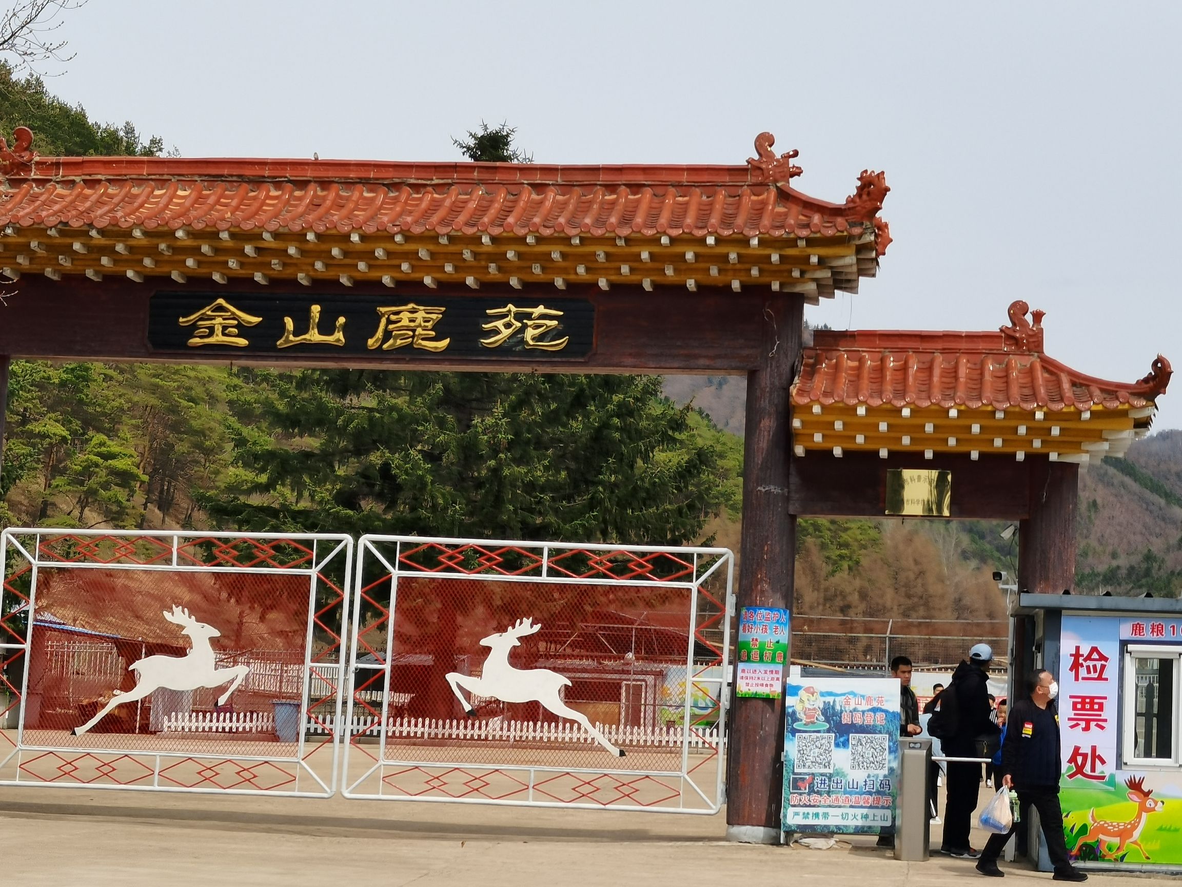 金秘洞旅行图片 3