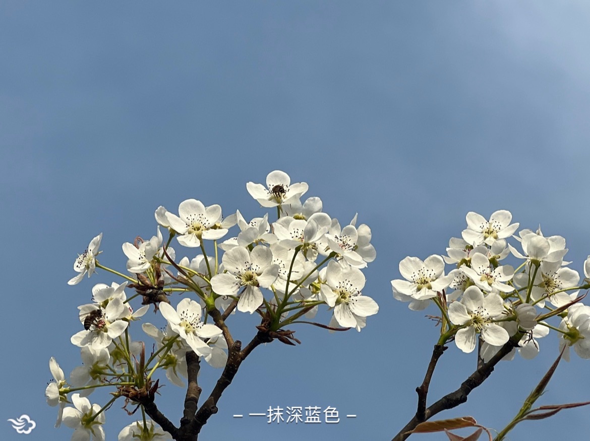 晋都公园-晋园旅行图片 1