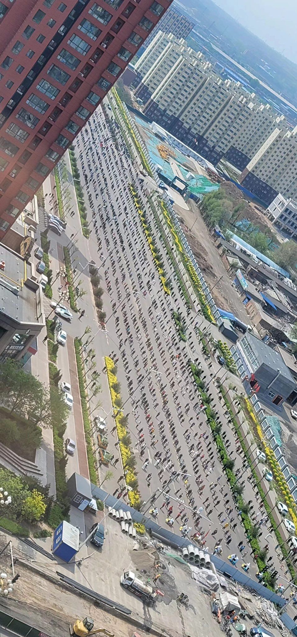 亳州市文化公园旅行图片 1