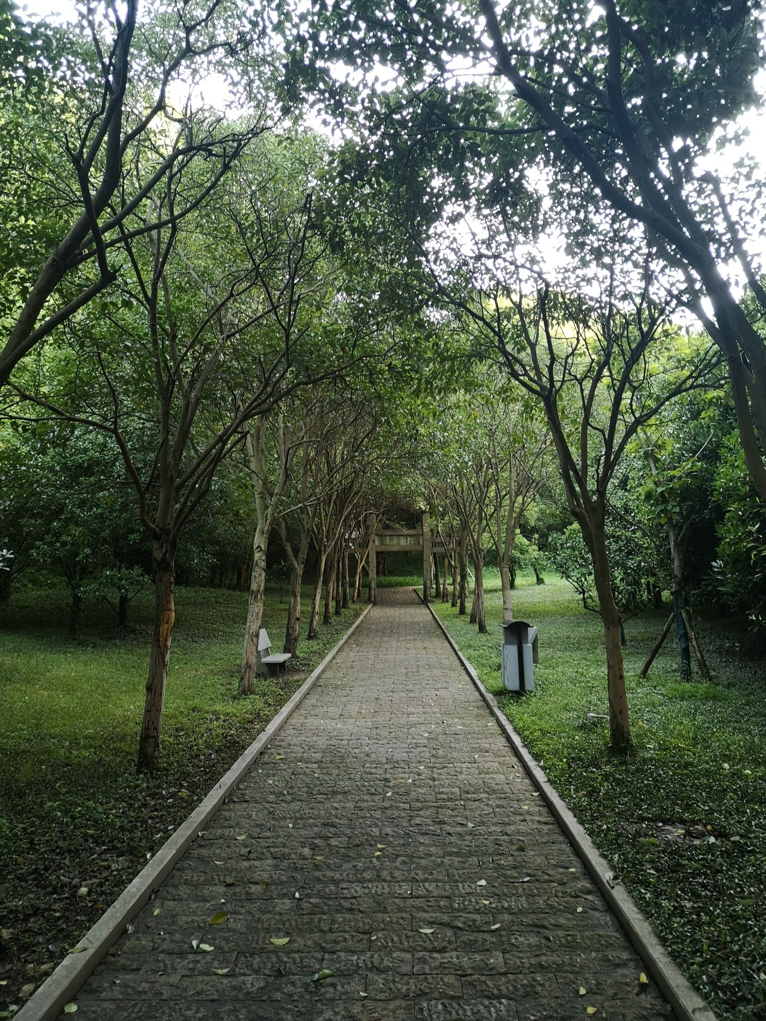 京岘山公园旅行图片 2