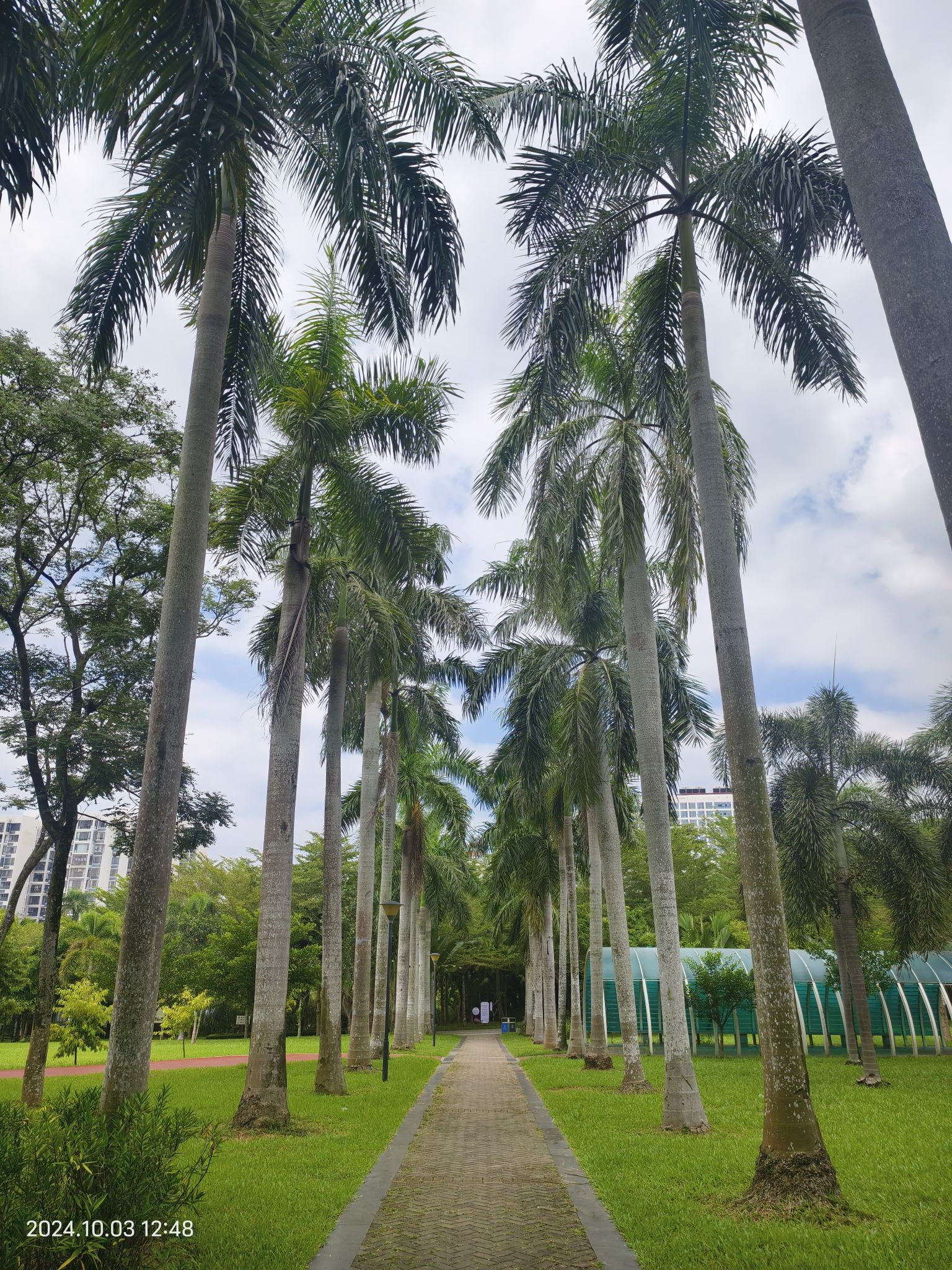 南茶公园