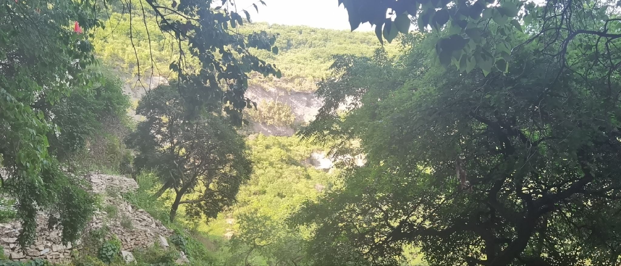 中阳县闹泥湾山庄景区旅行图片 1