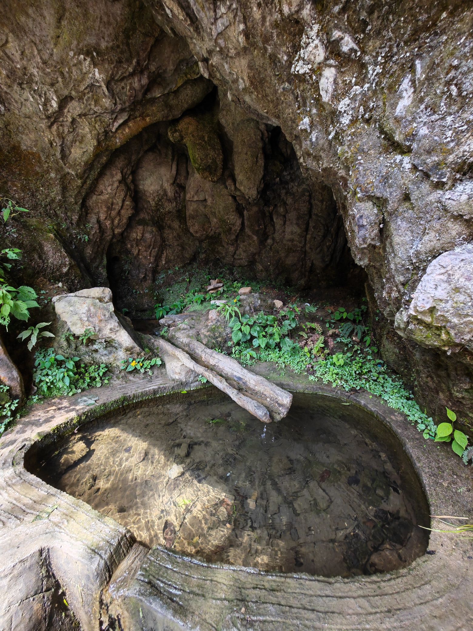 仙池纳里天池湿地公园旅行图片 3