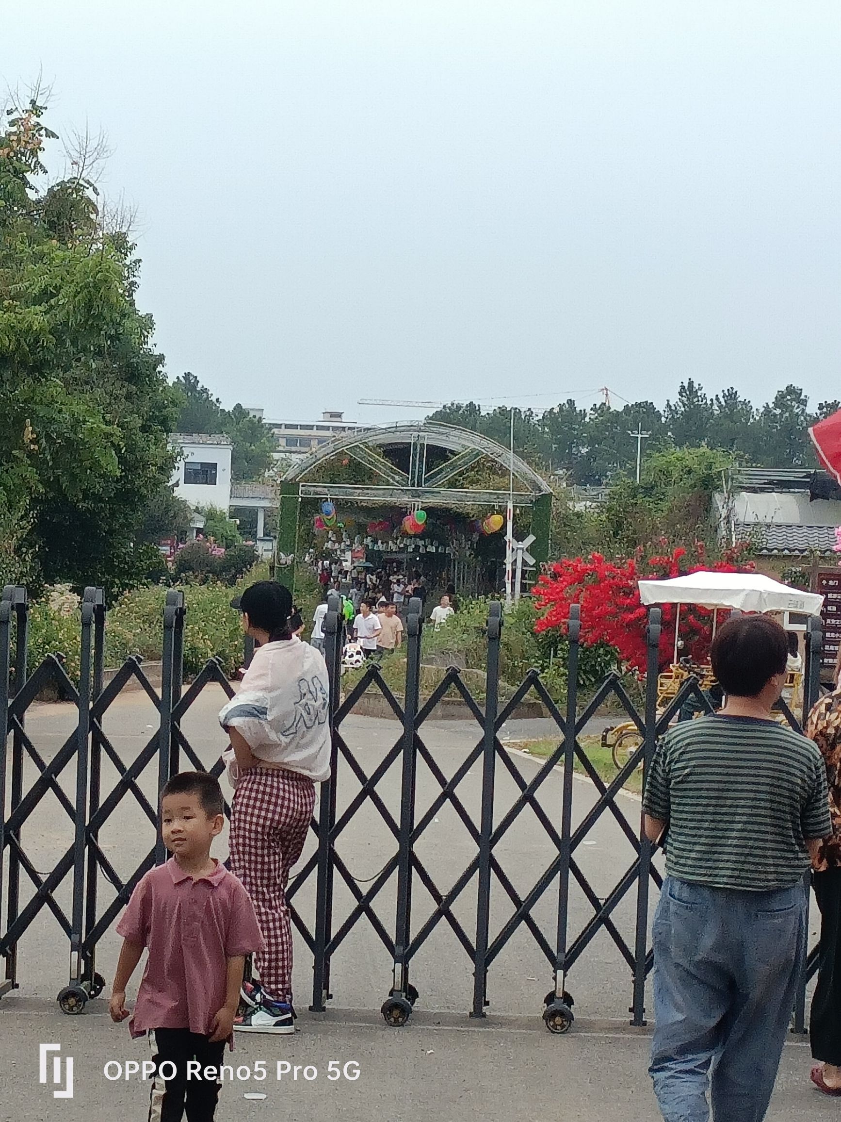 渔歌小镇花之港旅行图片 1