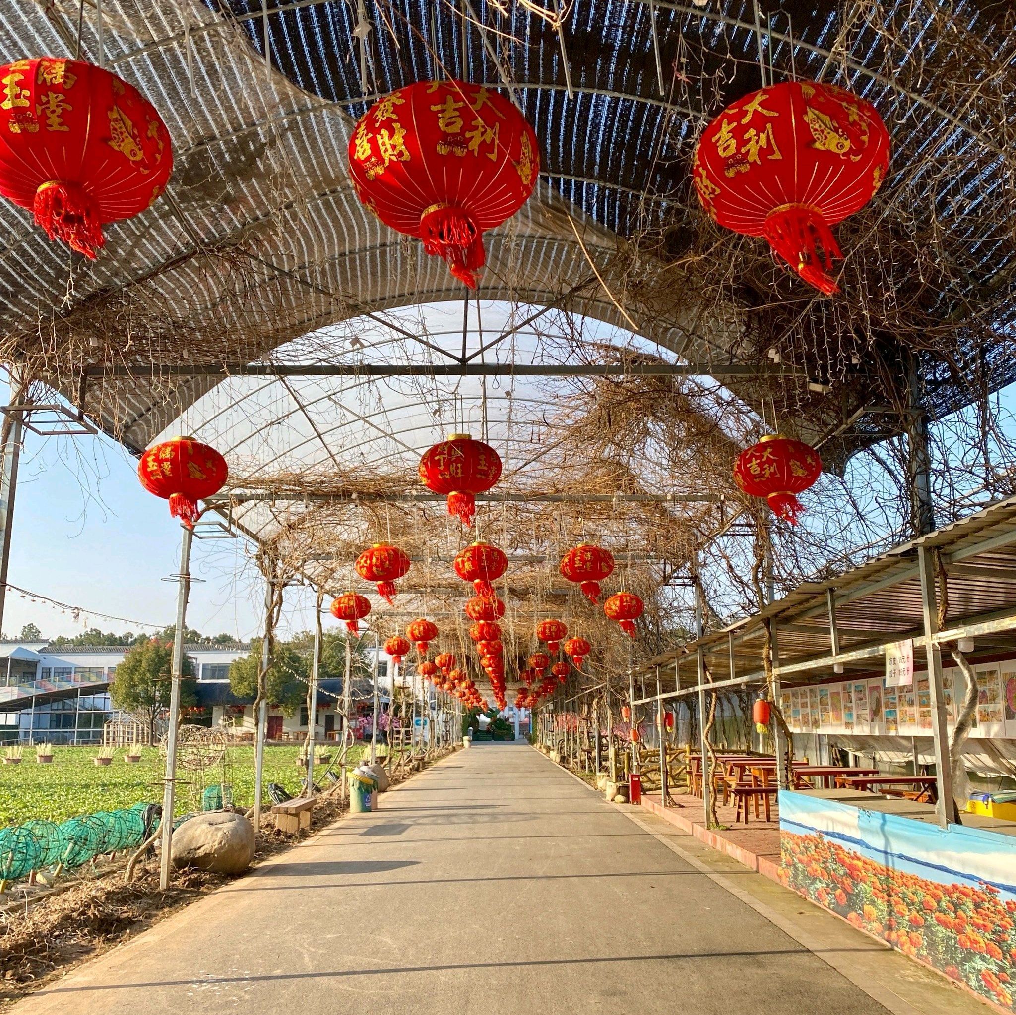 渔歌小镇花之港旅行图片 2