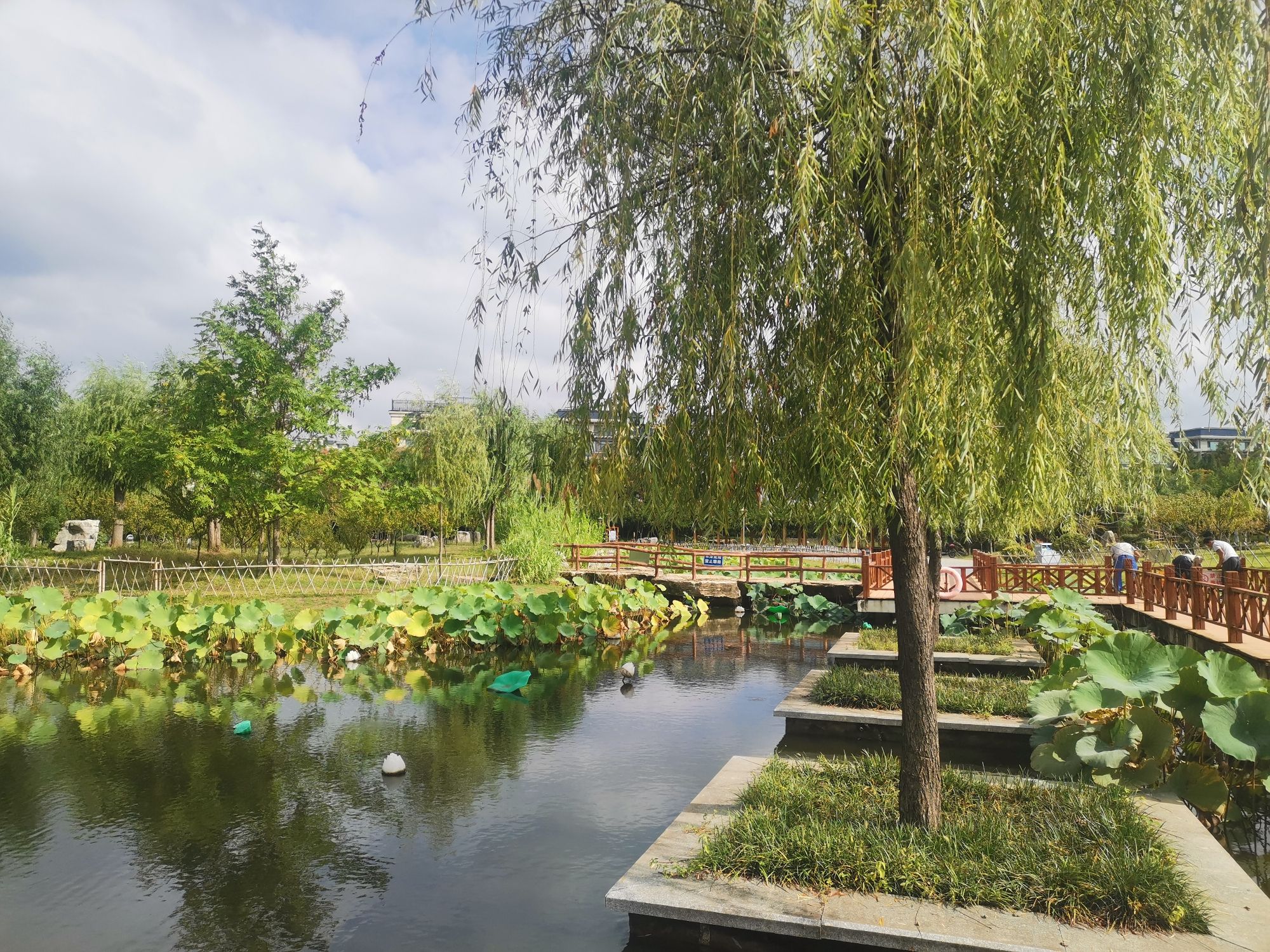 莒州同心公园旅行图片 1