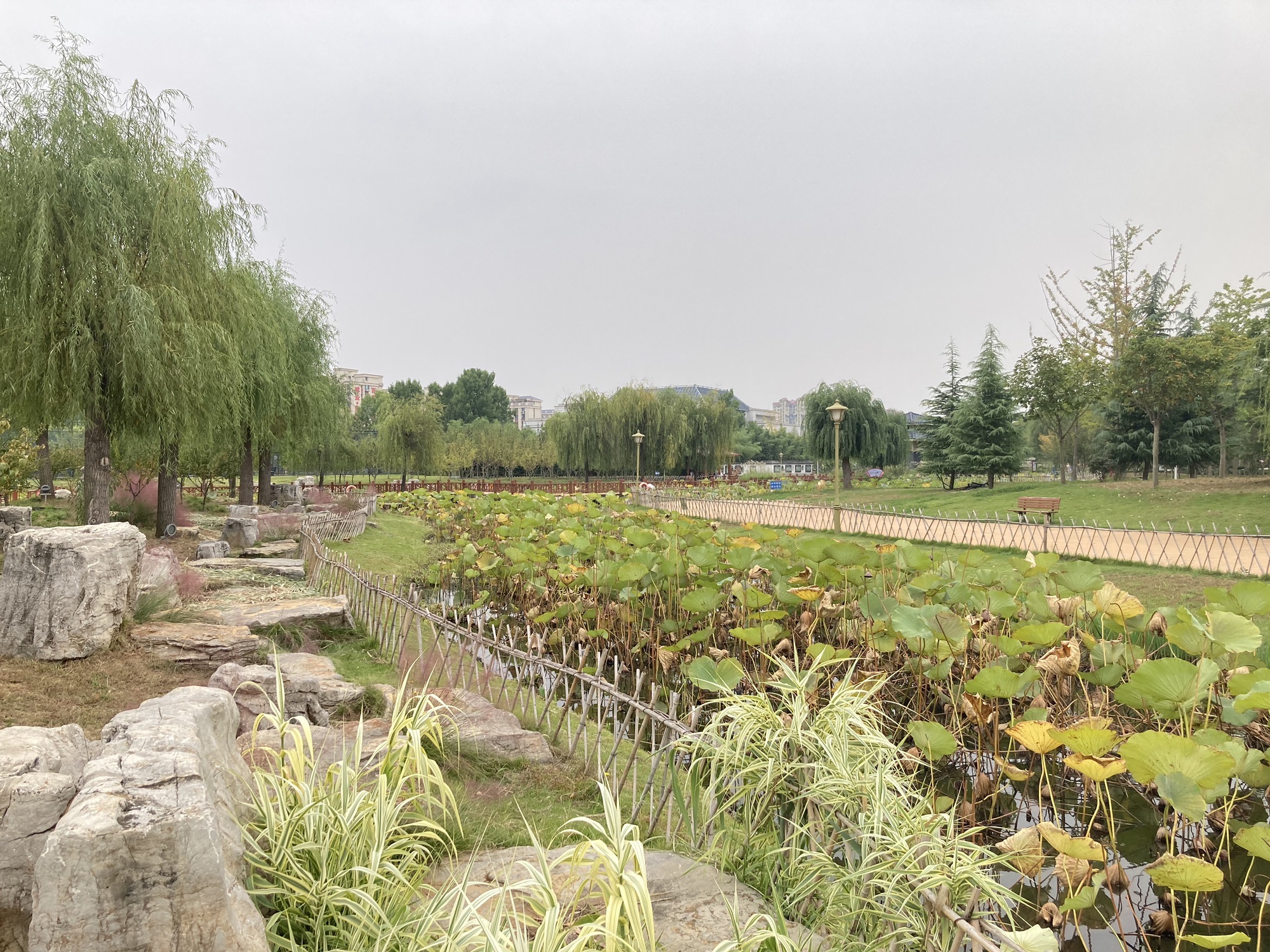 莒州同心公园旅行图片 3