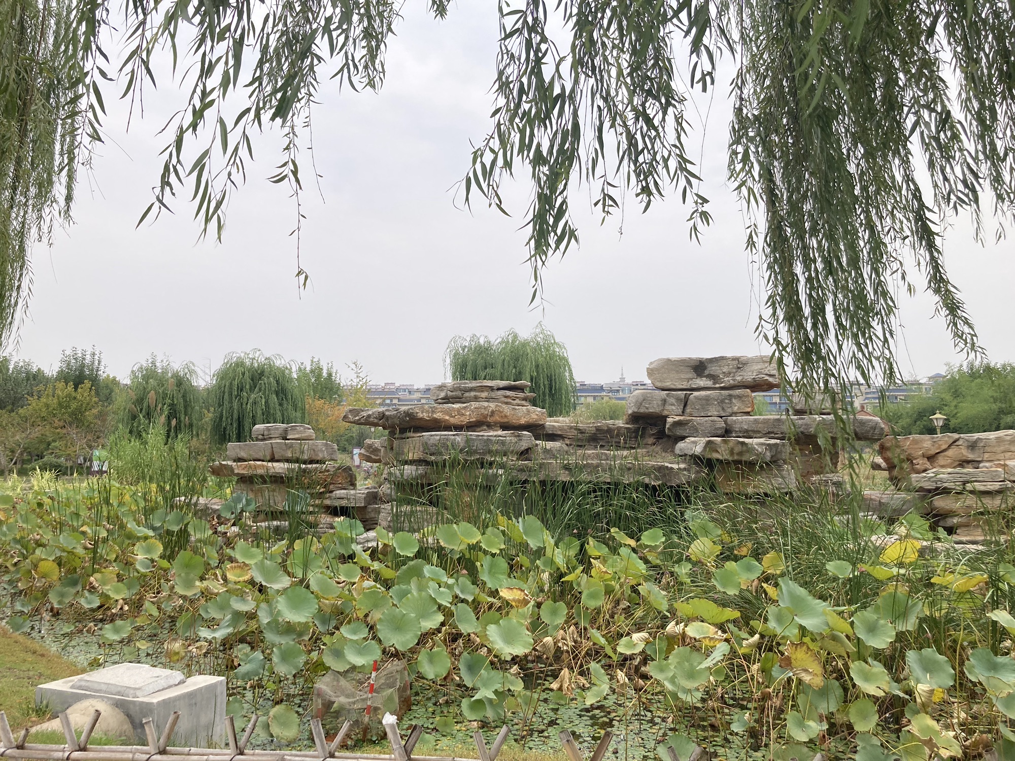 莒州同心公园旅行图片 1
