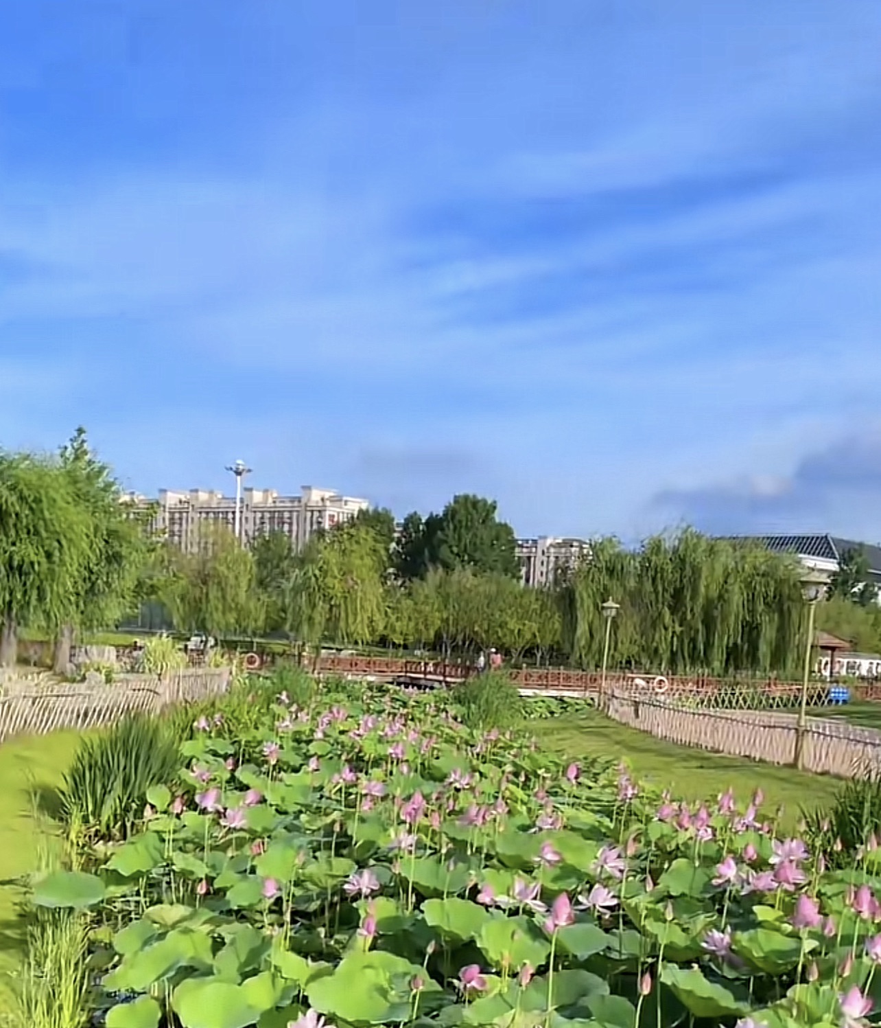 莒州同心公园旅行图片 2