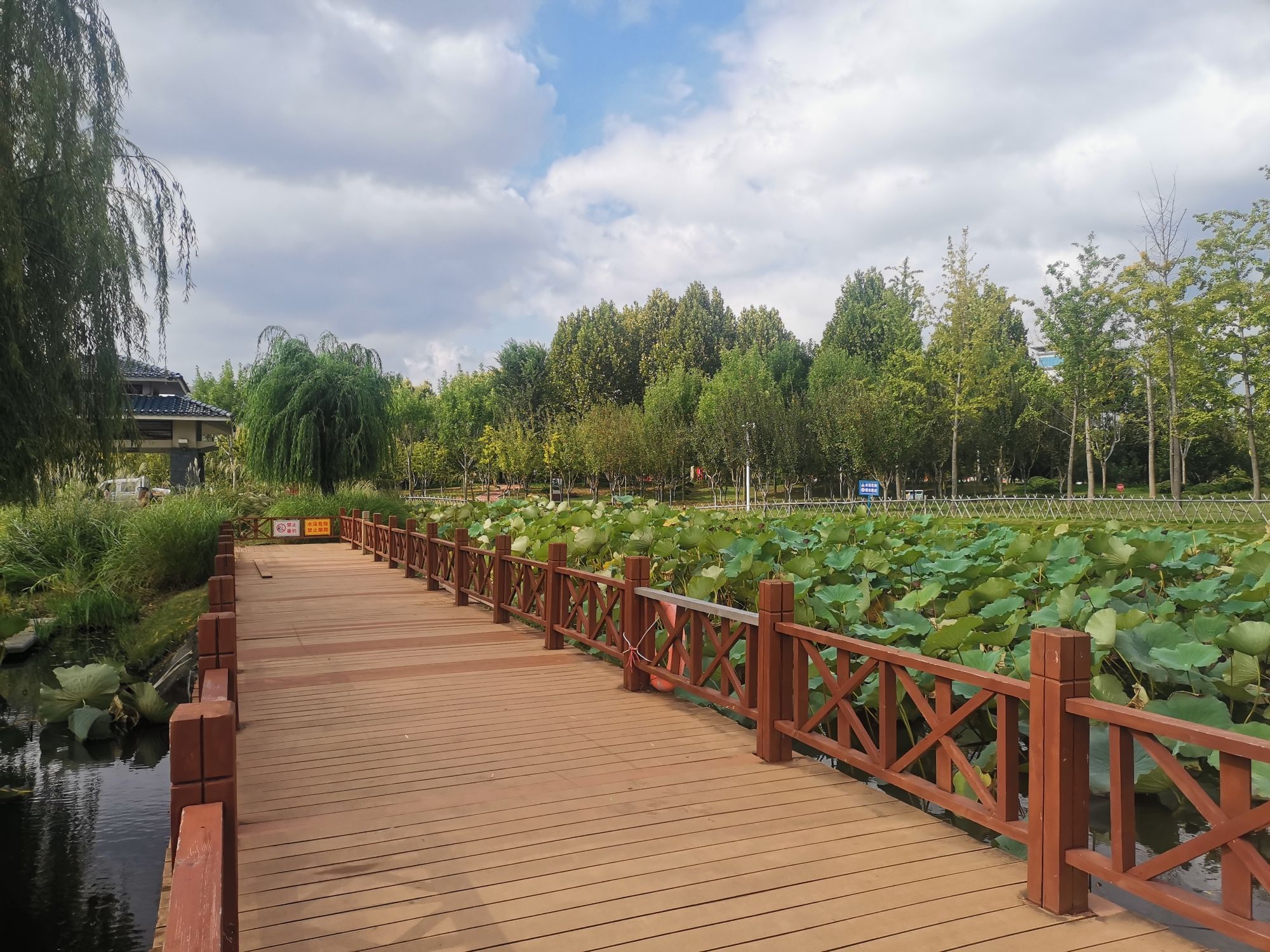 莒州同心公园旅行图片 3