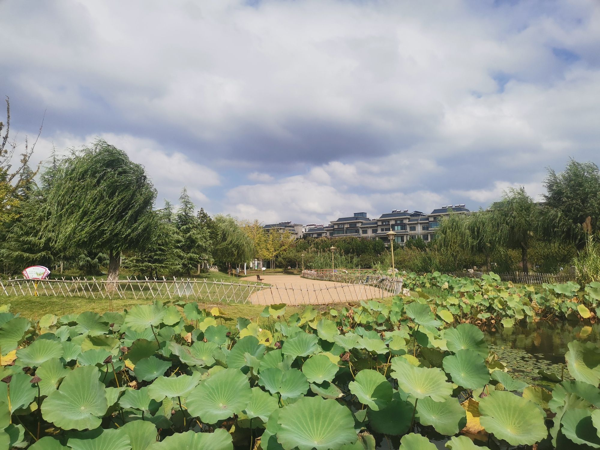 莒州同心公园旅行图片 2